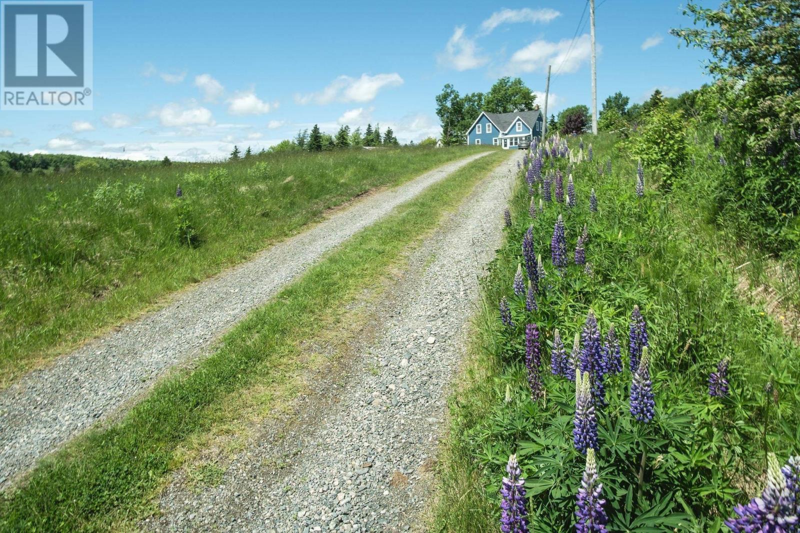 Grant 16258 10353 Marble Mountain Road, Orangedale, Nova Scotia  B0E 2K0 - Photo 31 - 202413527