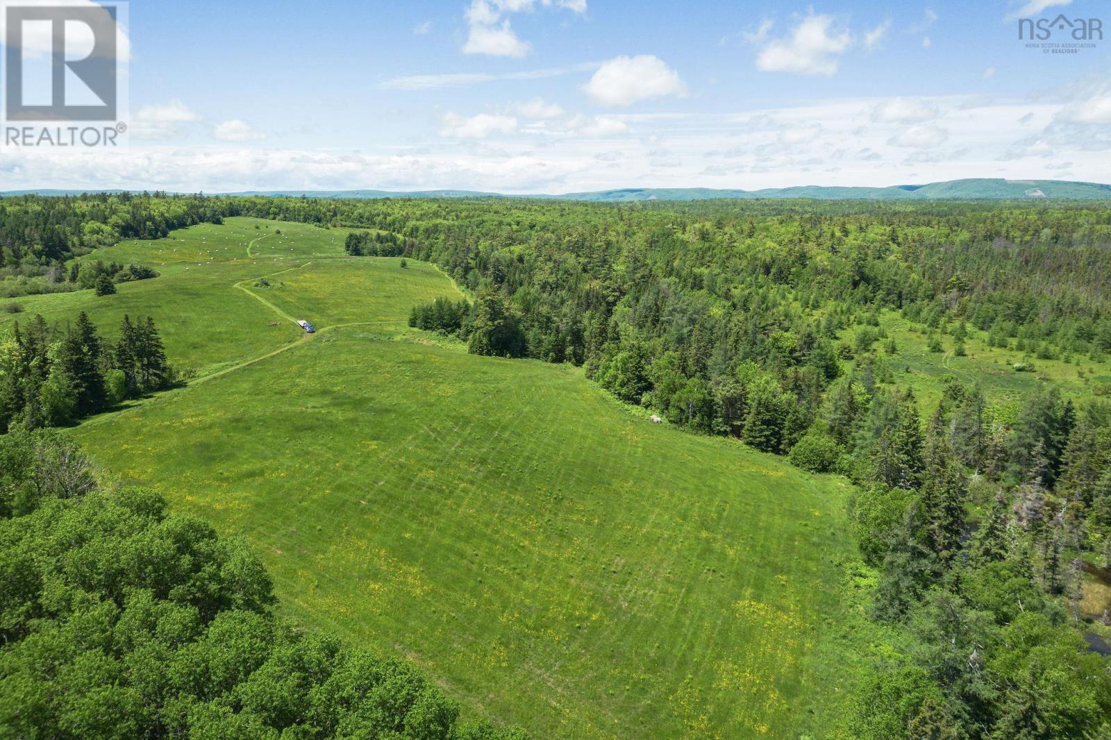 Grant 16258 10353 Marble Mountain Road, Orangedale, Nova Scotia  B0E 2K0 - Photo 32 - 202413527