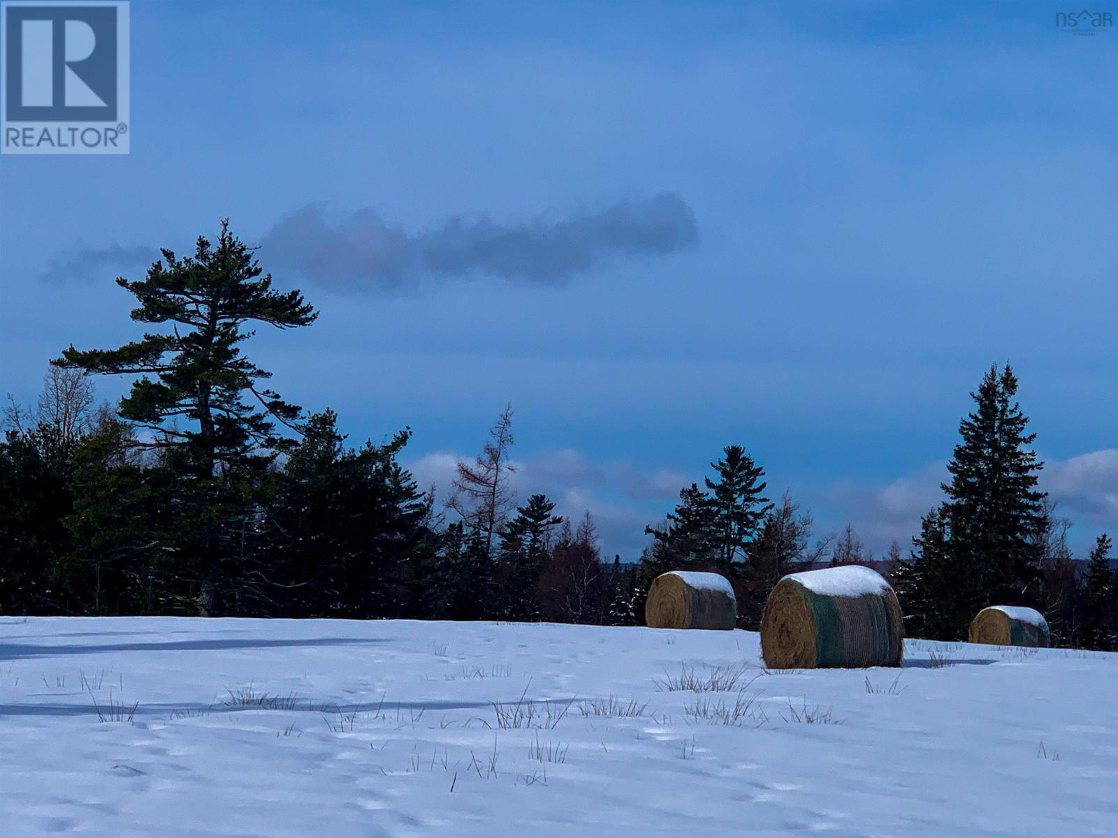 Grant 16258 10353 Marble Mountain Road, Orangedale, Nova Scotia  B0E 2K0 - Photo 45 - 202413527