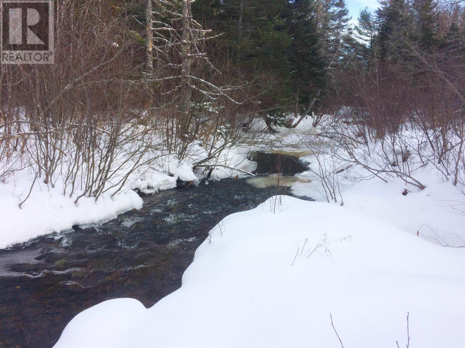 Grant 16258 10353 Marble Mountain Road, Orangedale, Nova Scotia  B0E 2K0 - Photo 46 - 202413527