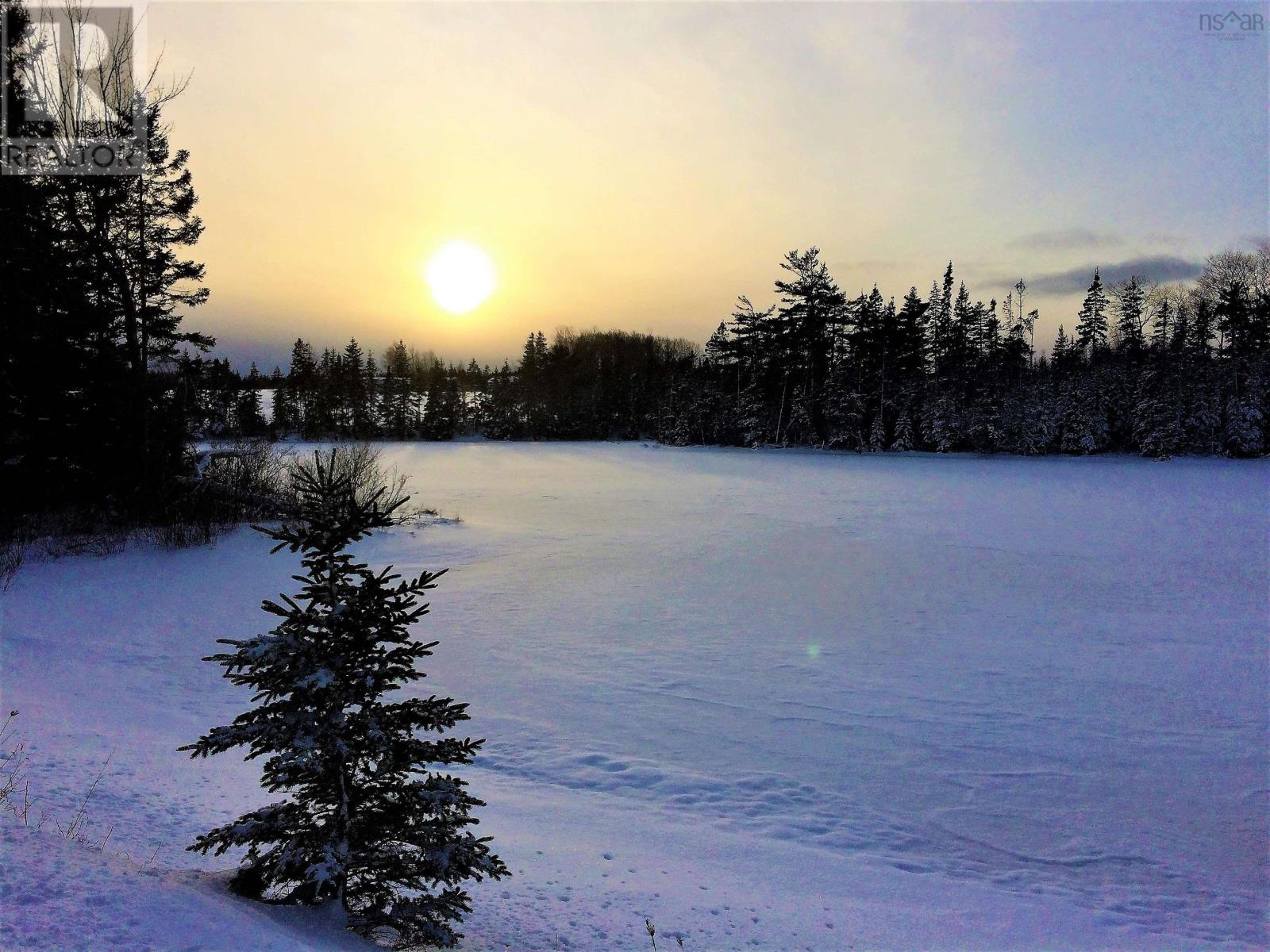 Grant 16258 10353 Marble Mountain Road, Orangedale, Nova Scotia  B0E 2K0 - Photo 47 - 202413527