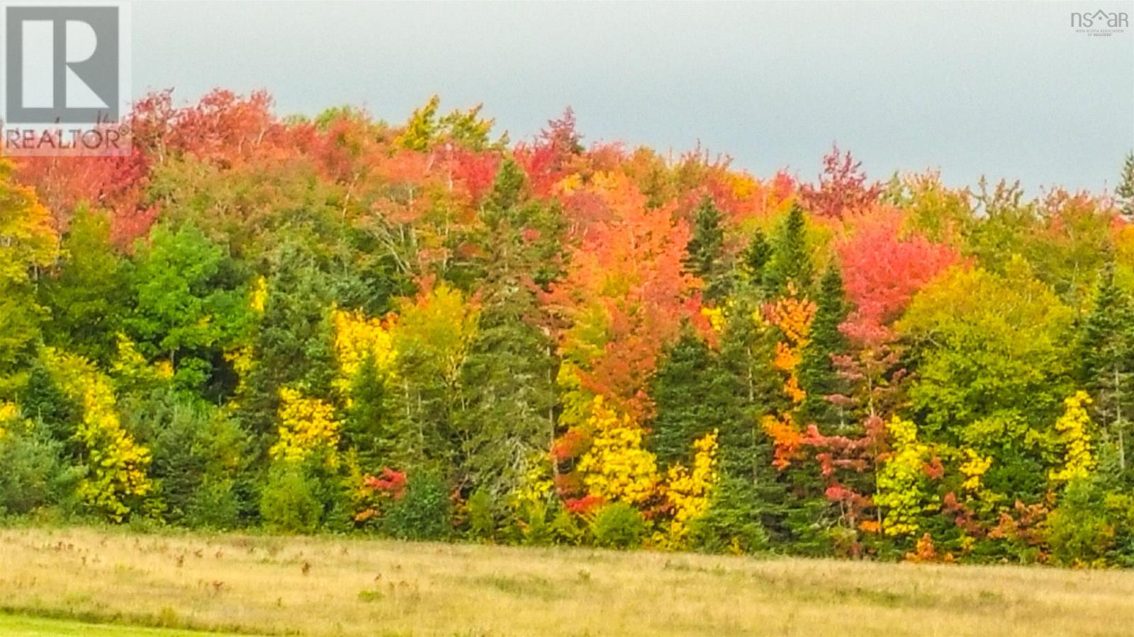 Grant 16258 10353 Marble Mountain Road, Orangedale, Nova Scotia  B0E 2K0 - Photo 50 - 202413527