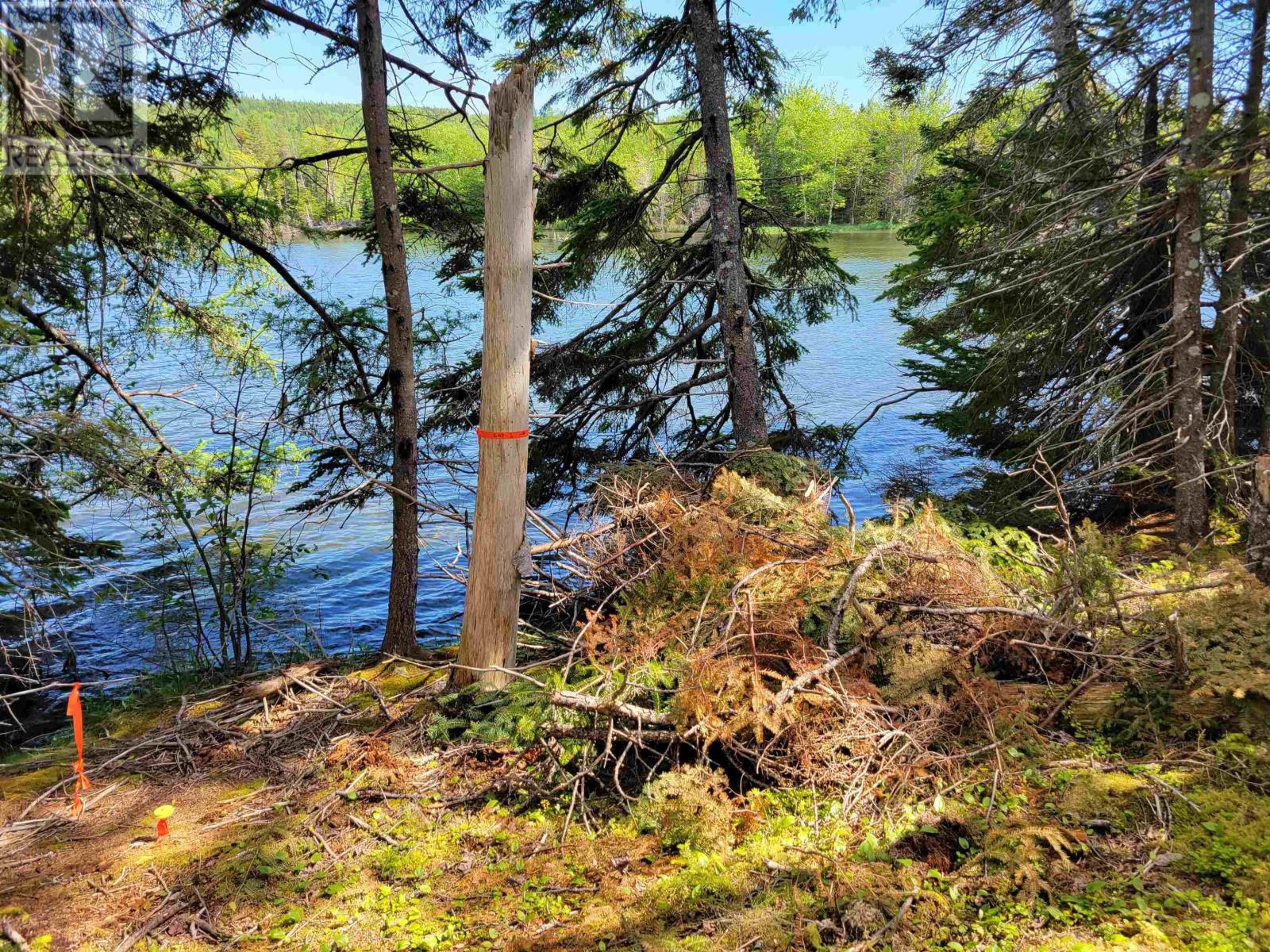 Lot 23-1 Murphy Road, Upper Washabuck, Nova Scotia  B2C 1L7 - Photo 2 - 202413533