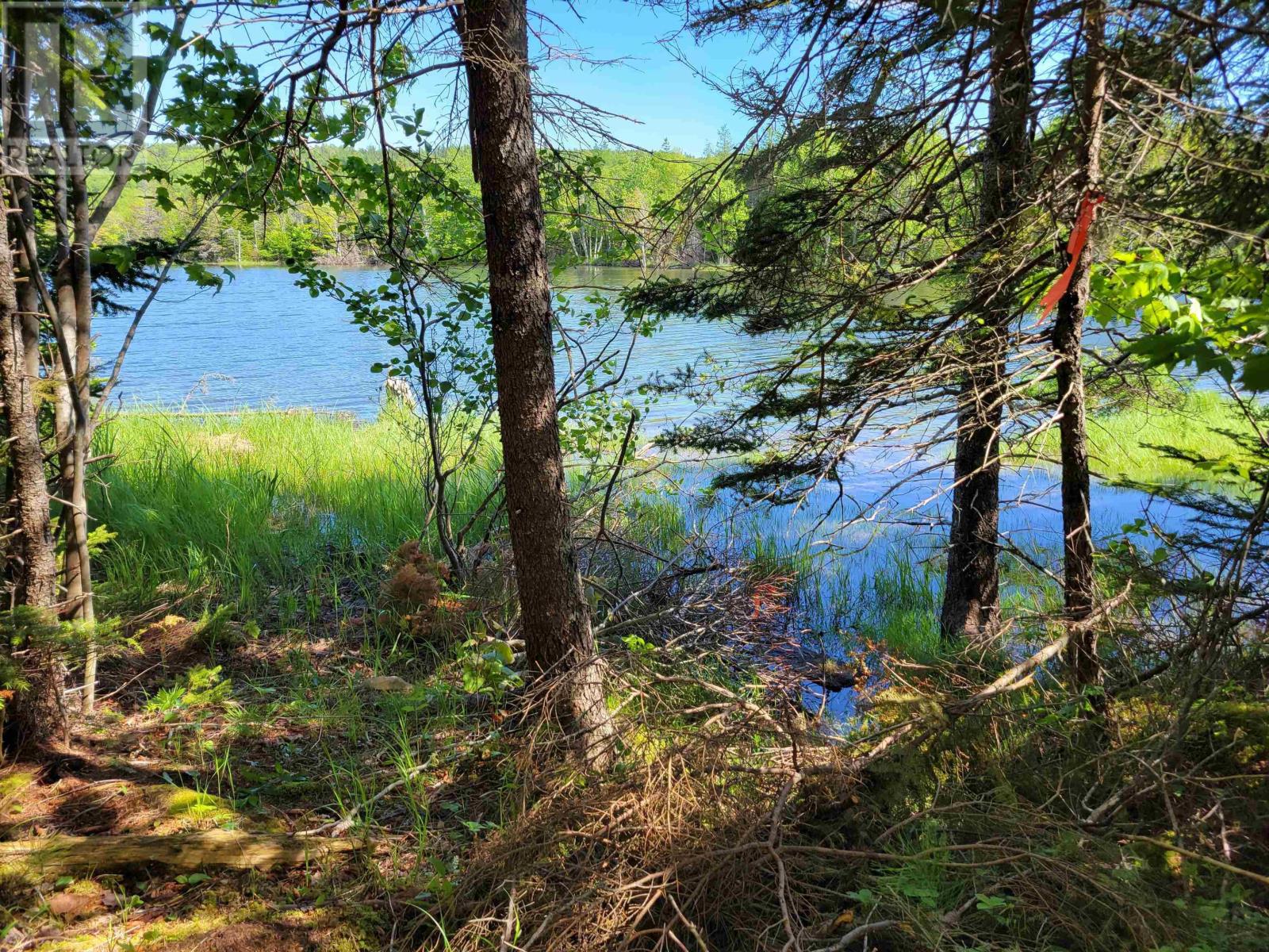 Lot 23-1 Murphy Road, Upper Washabuck, Nova Scotia  B2C 1L7 - Photo 5 - 202413533