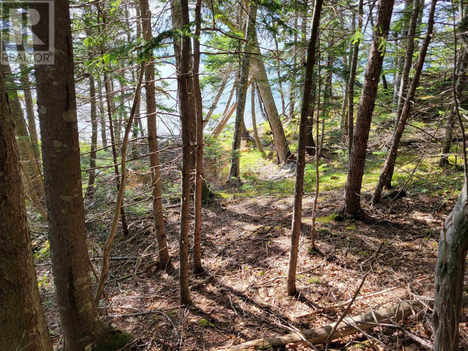 Lot 23-8 Murphy Road, Upper Washabuck, Nova Scotia  B2C 1L7 - Photo 3 - 202413544