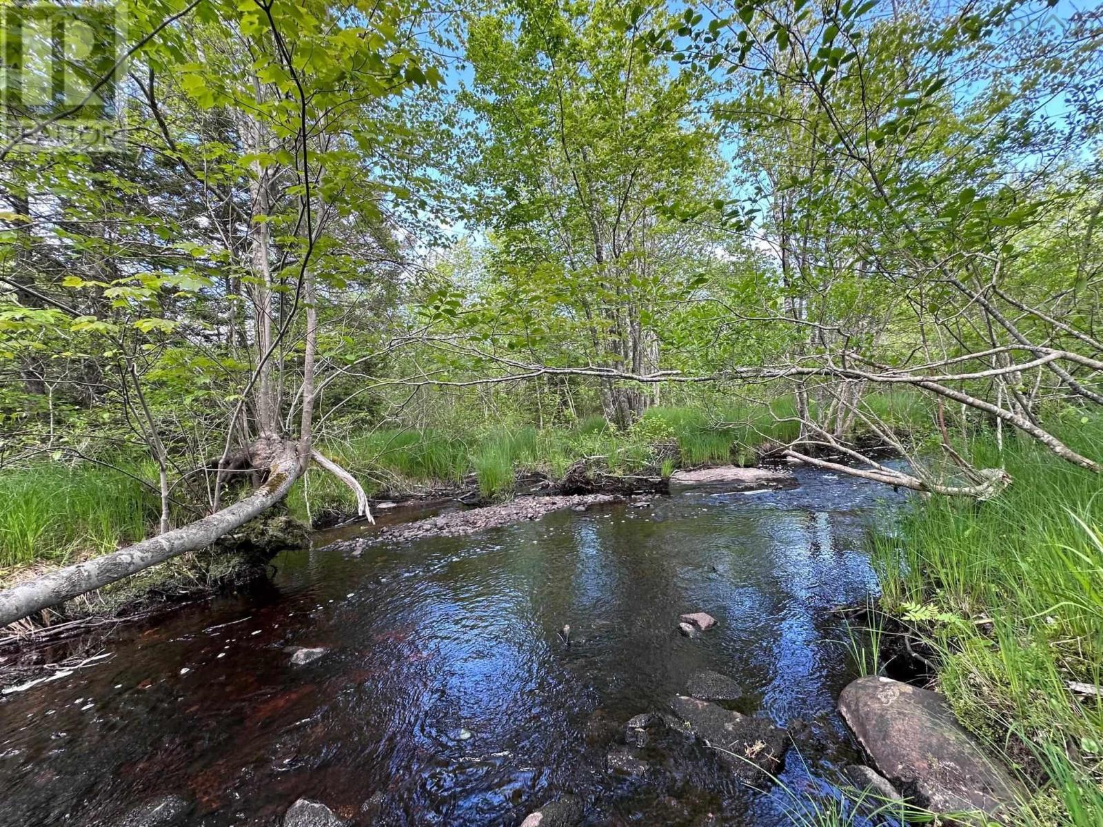 6995 Highway 331, Broad Cove, Nova Scotia  B0J 2H0 - Photo 14 - 202413683