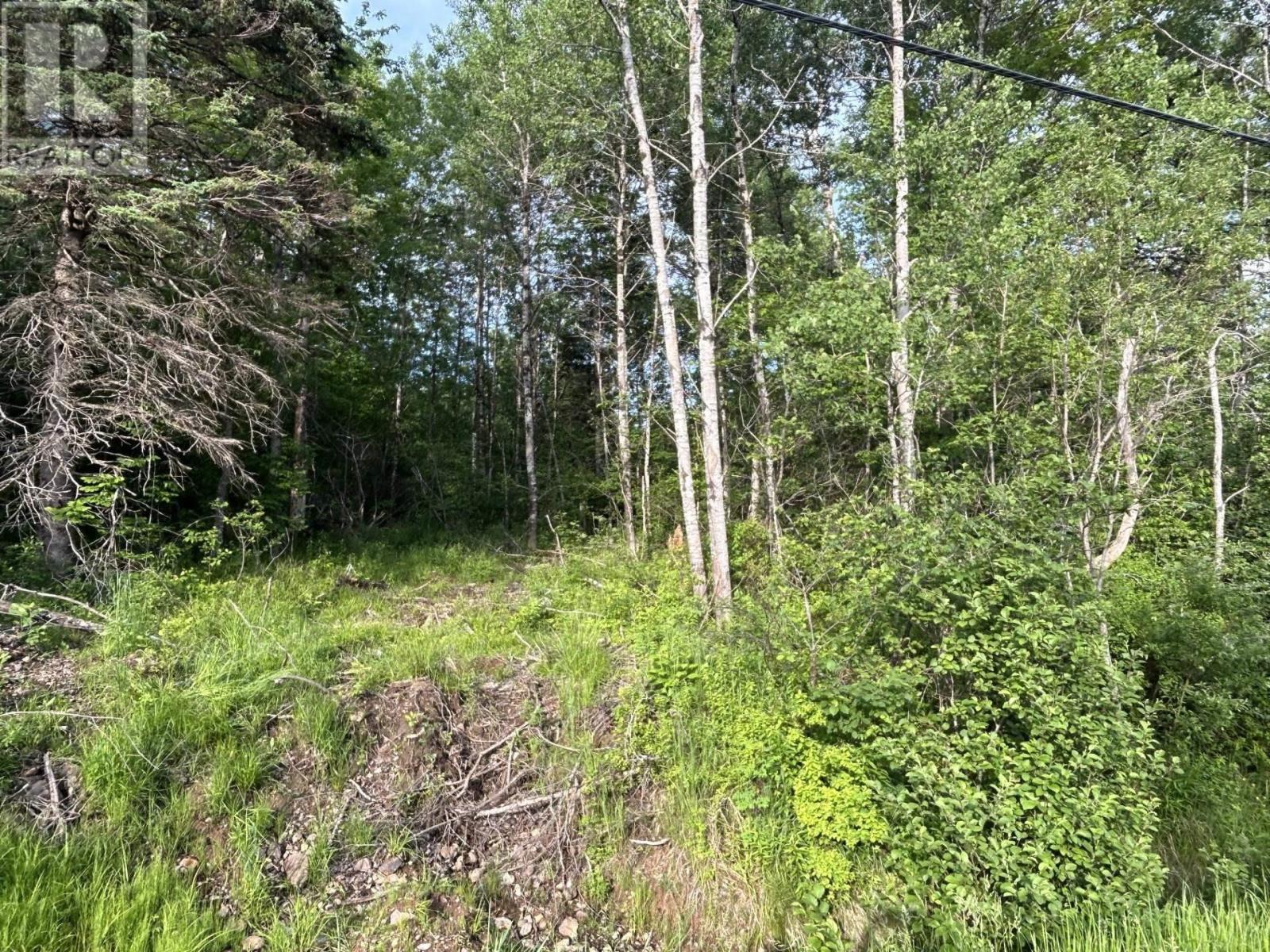 Lot K1 Greenfield Road, Greenfield, Nova Scotia  B4P 2R1 - Photo 11 - 202413712