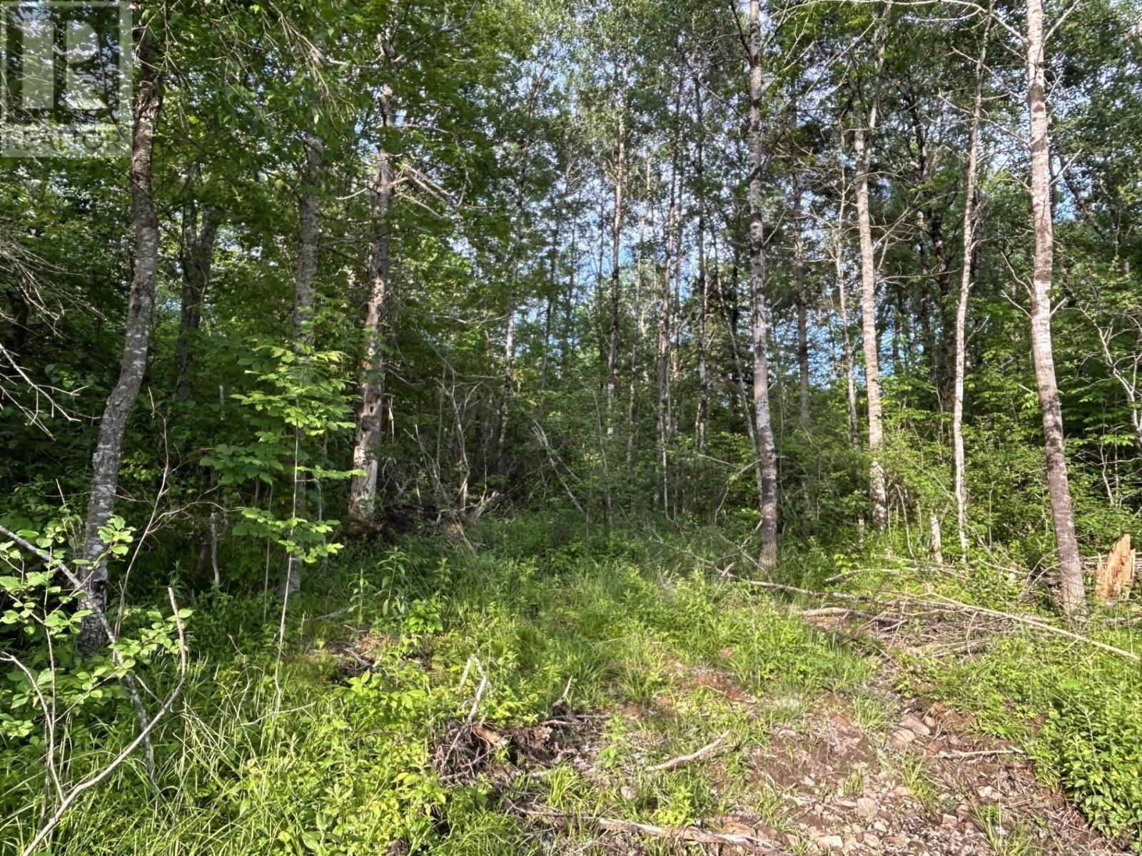 Lot K1 Greenfield Road, Greenfield, Nova Scotia  B4P 2R1 - Photo 6 - 202413712