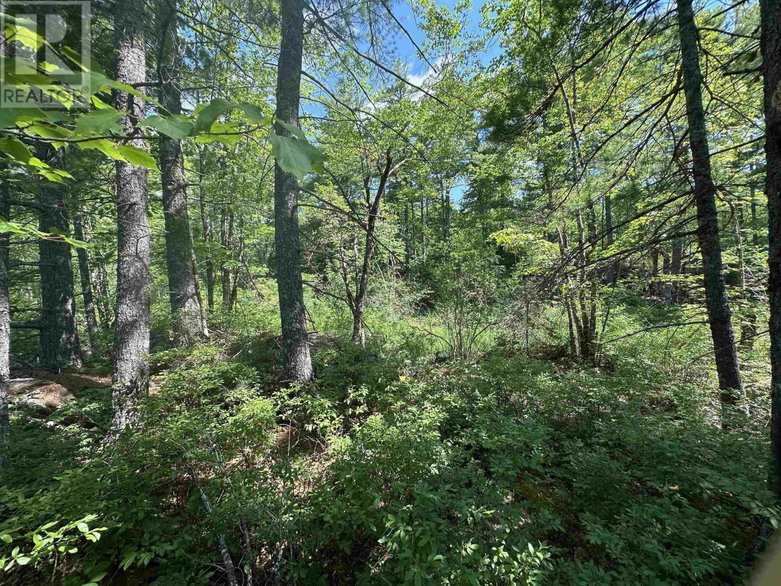 Lot 1 Mint Brook Road, Molega North, Nova Scotia  B0T 1X0 - Photo 15 - 202413736