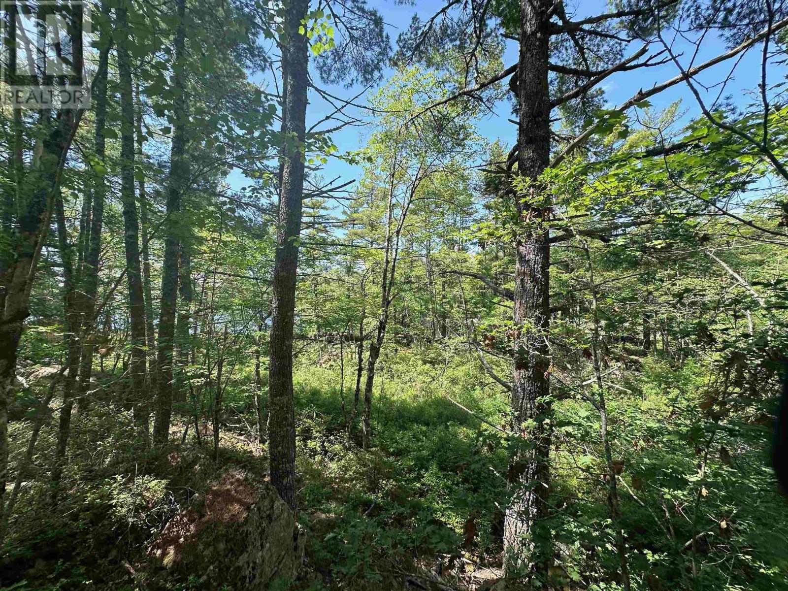 Lot 1 Mint Brook Road, Molega North, Nova Scotia  B0T 1X0 - Photo 18 - 202413736