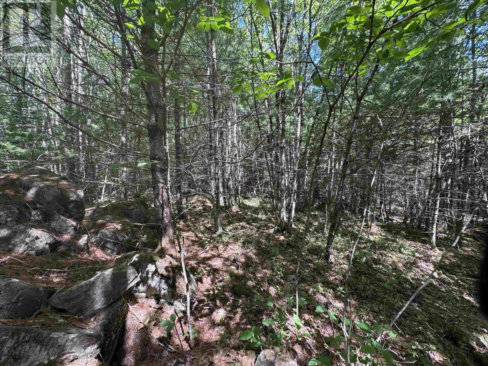 Lot 1 Mint Brook Road, Molega North, Nova Scotia  B0T 1X0 - Photo 6 - 202413736