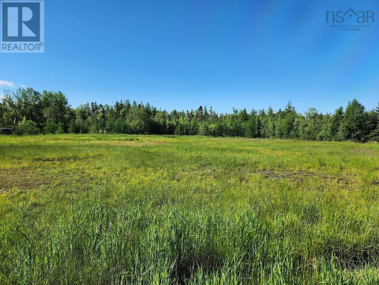 2.7 Acres Truro Road, Westville, Nova Scotia  B0K 2A0 - Photo 2 - 202413829