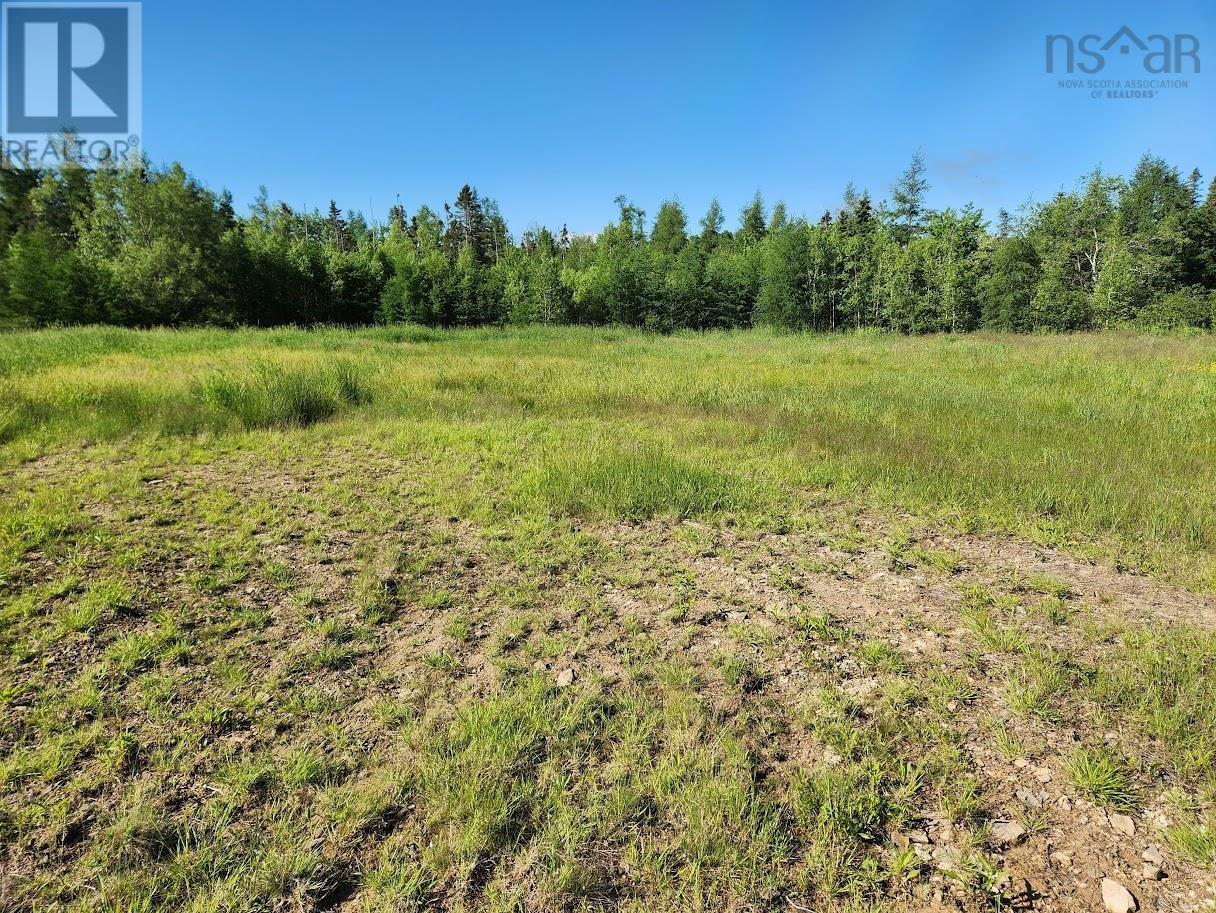 2.7 Acres Truro Road, Westville, Nova Scotia  B0K 2A0 - Photo 4 - 202413829