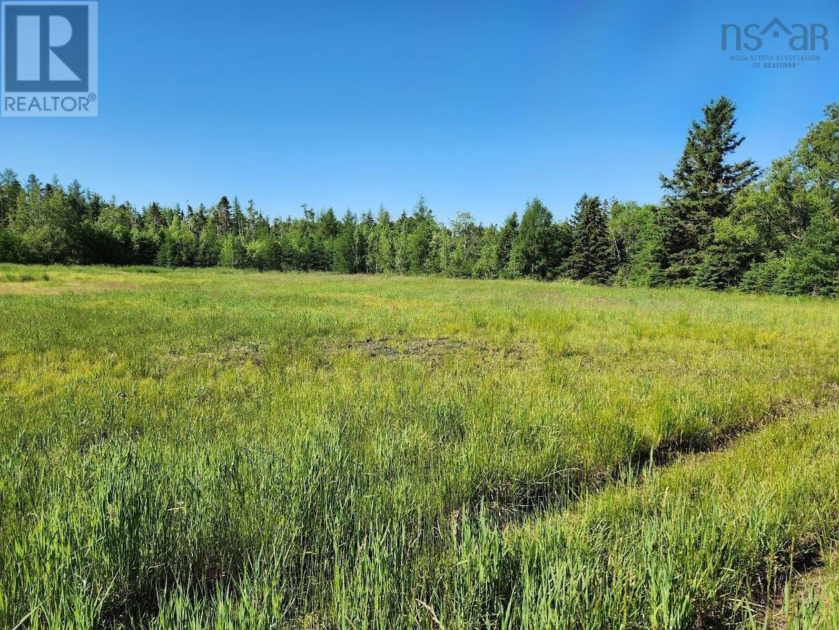 2.7 Acres Truro Road, Westville, Nova Scotia  B0K 2A0 - Photo 6 - 202413829