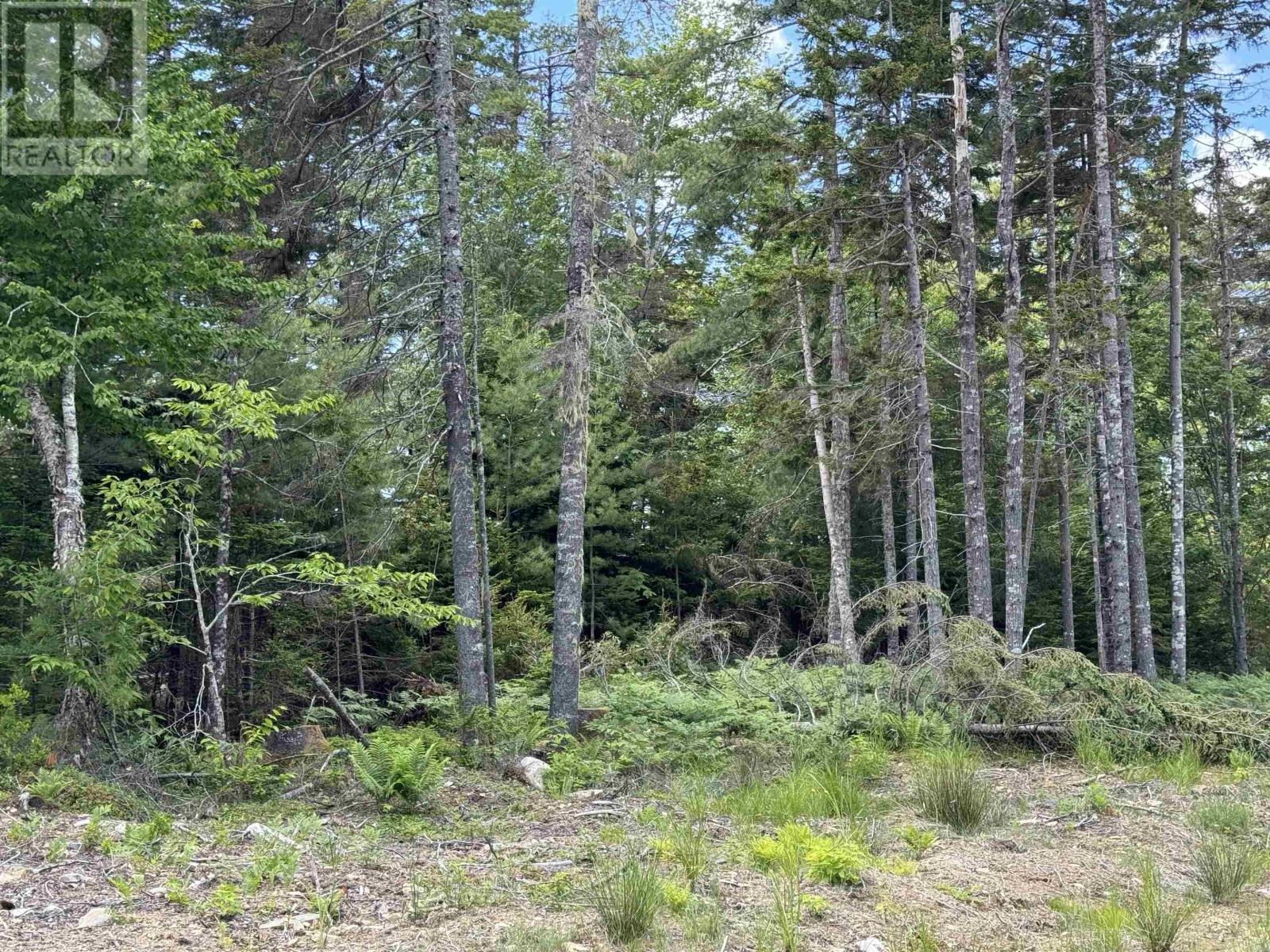 Golden Forest Road, North Kemptville, Nova Scotia  B5A 5P2 - Photo 24 - 202413883