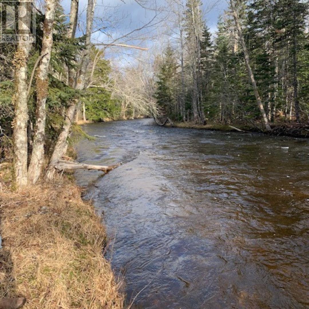 Campbells Road, Frenchvale, Nova Scotia  B1K 2G8 - Photo 10 - 202413903