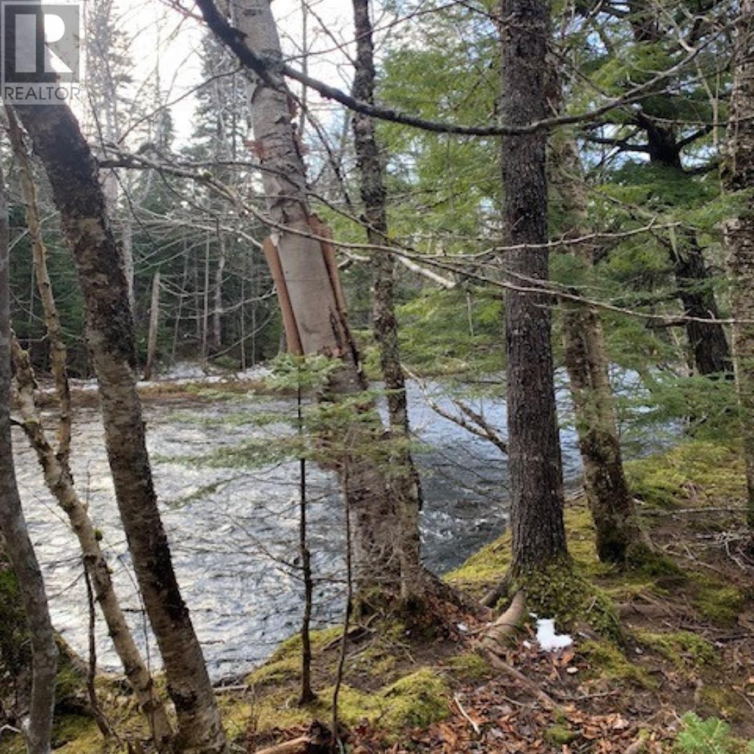 Campbells Road, Frenchvale, Nova Scotia  B1K 2G8 - Photo 12 - 202413903