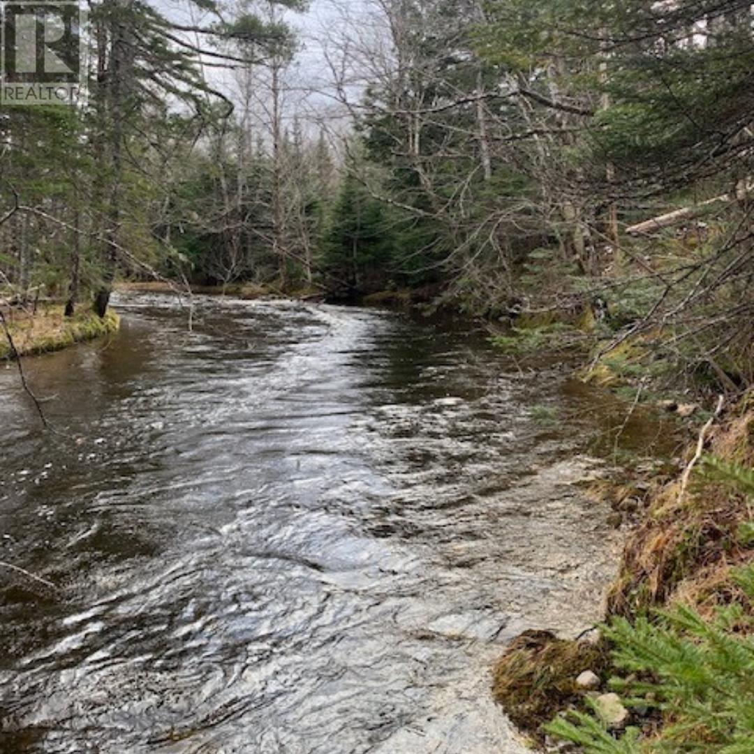 Campbells Road, Frenchvale, Nova Scotia  B1K 2G8 - Photo 15 - 202413903