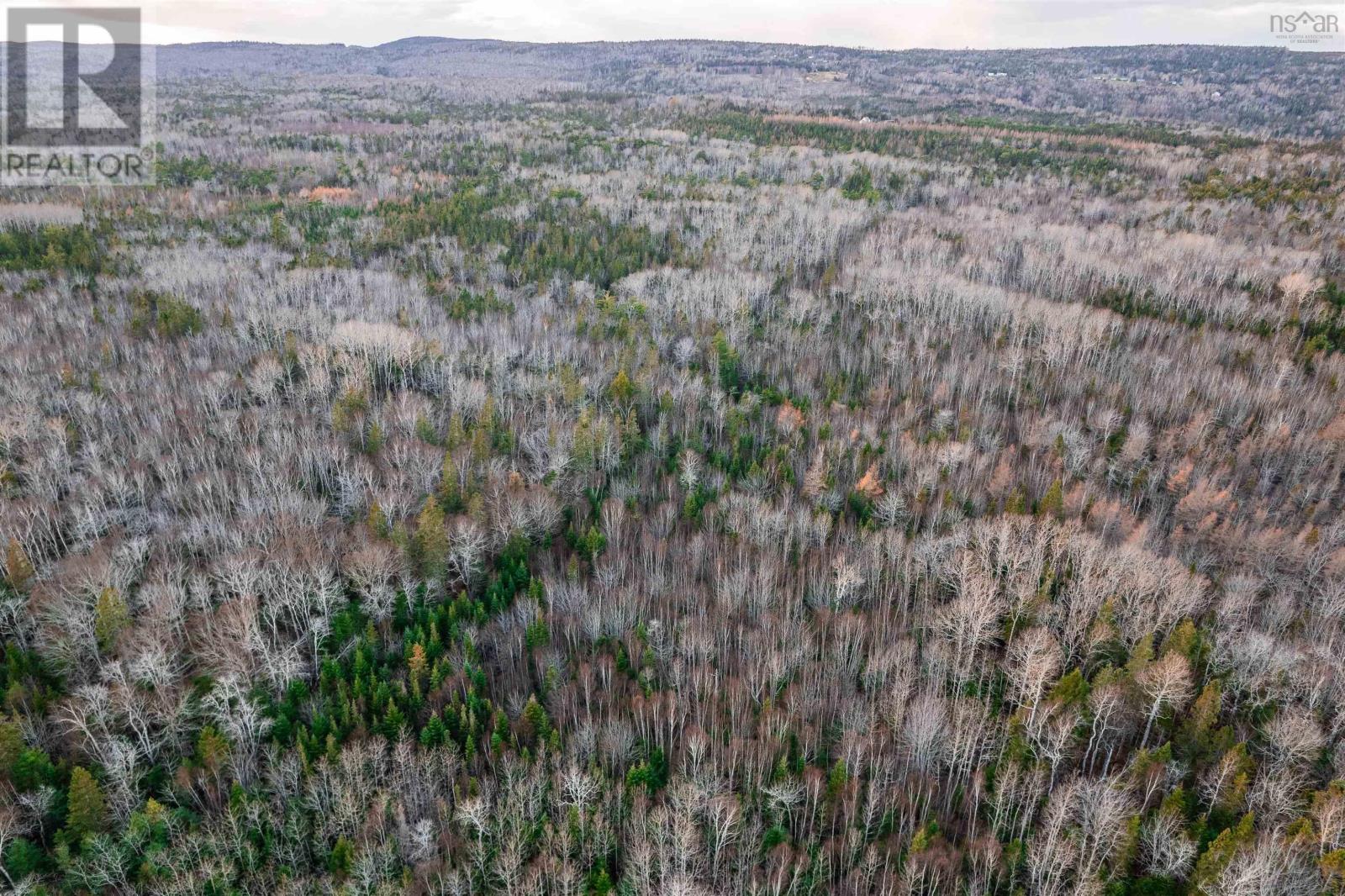 Campbells Road, Frenchvale, Nova Scotia  B1K 2G8 - Photo 17 - 202413903