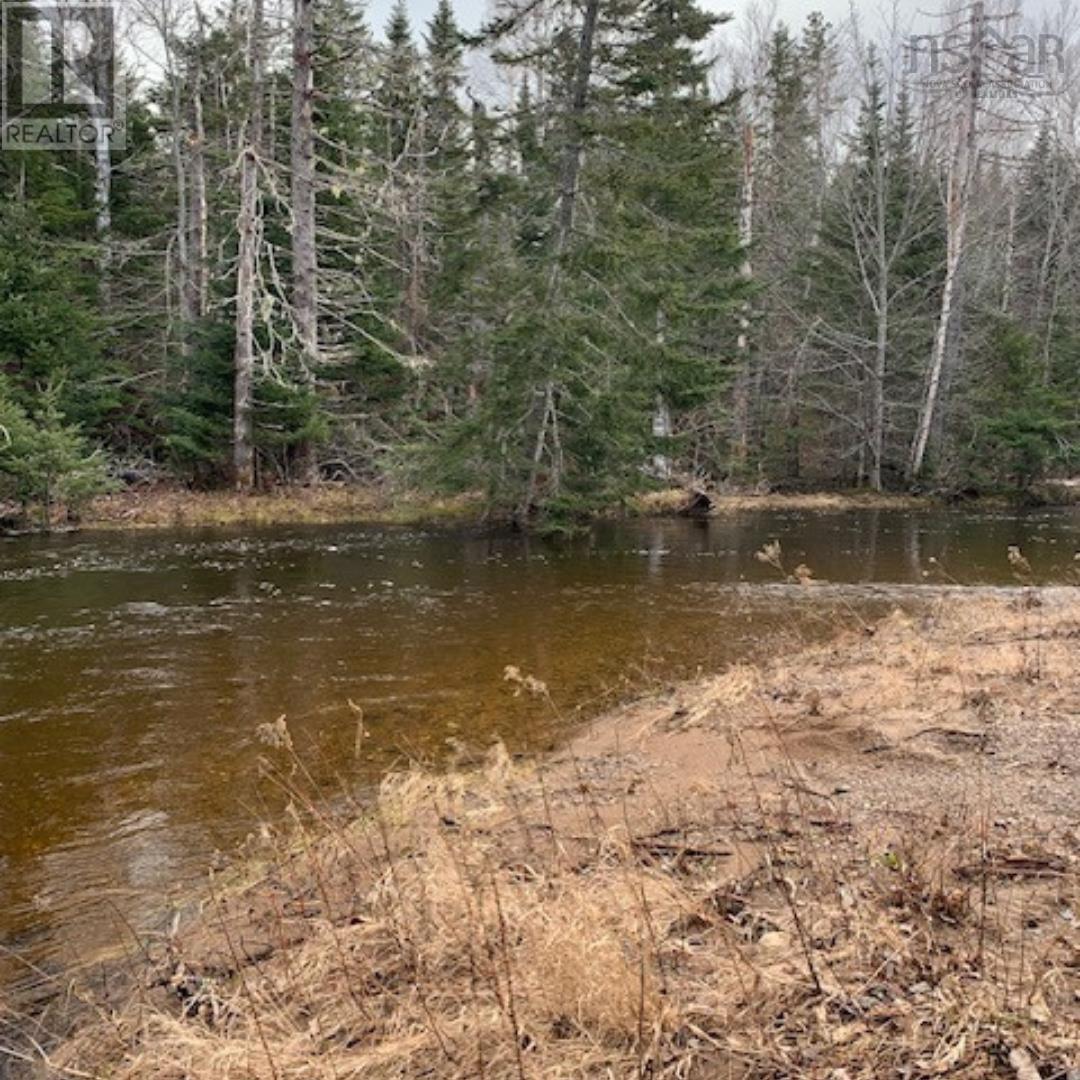 Campbells Road, Frenchvale, Nova Scotia  B1K 2G8 - Photo 18 - 202413903