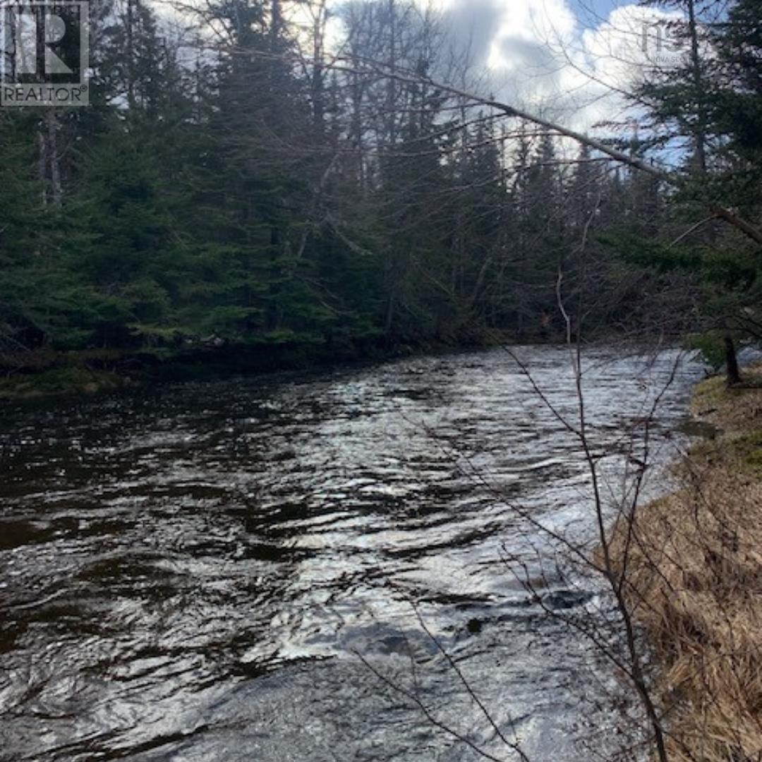 Campbells Road, Frenchvale, Nova Scotia  B1K 2G8 - Photo 2 - 202413903