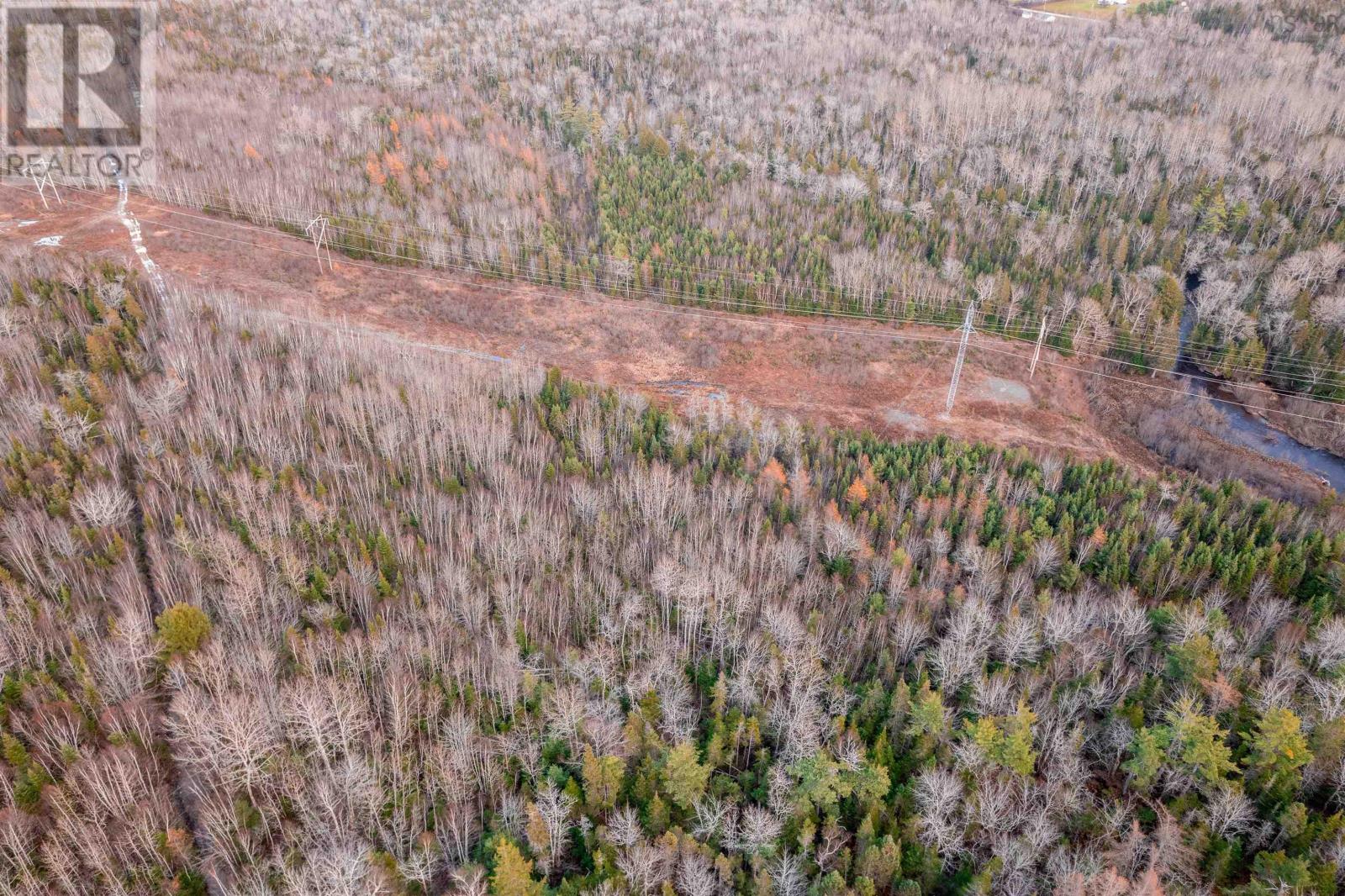 Campbells Road, Frenchvale, Nova Scotia  B1K 2G8 - Photo 21 - 202413903