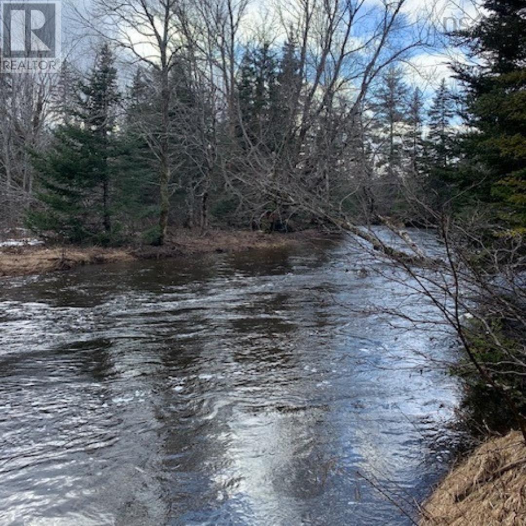 Campbells Road, Frenchvale, Nova Scotia  B1K 2G8 - Photo 3 - 202413903