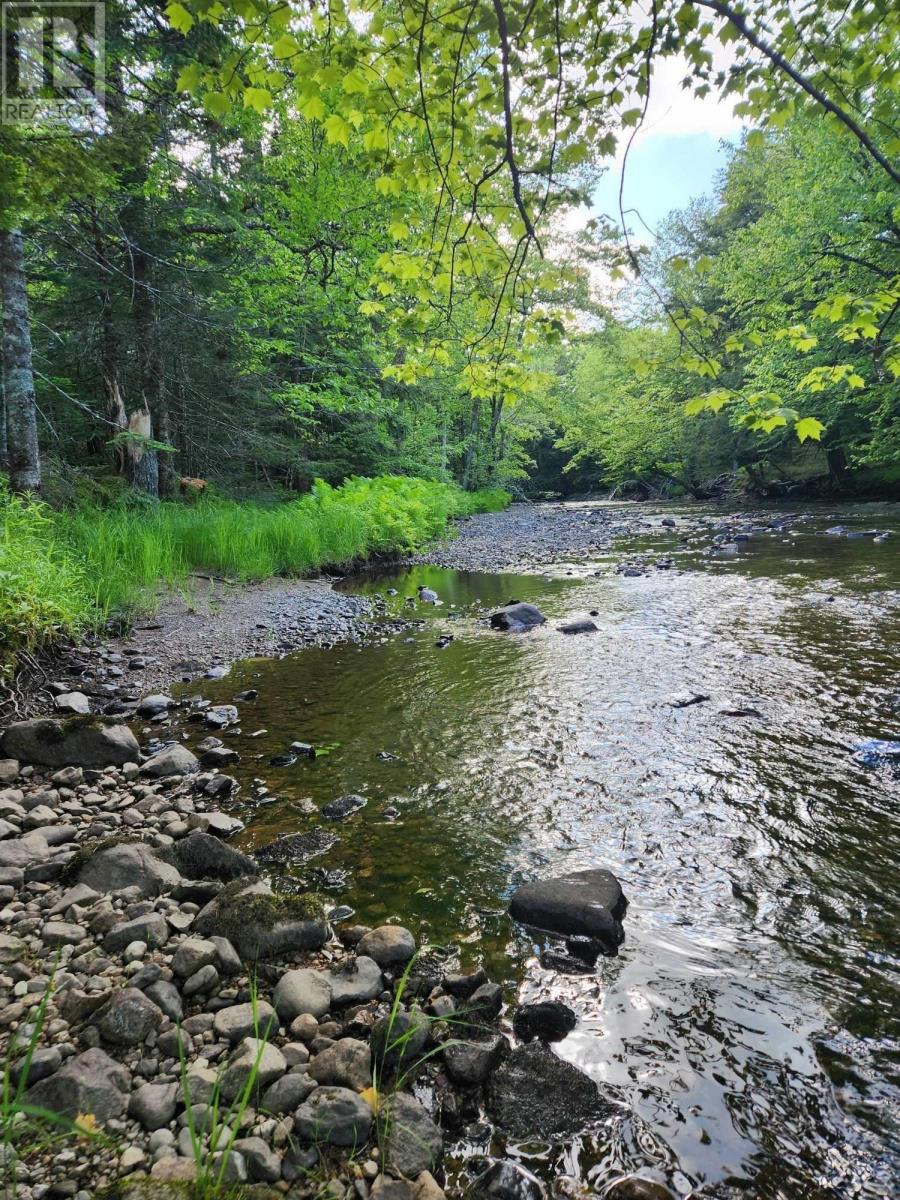 Campbells Road, Frenchvale, Nova Scotia  B1K 2G8 - Photo 31 - 202413903