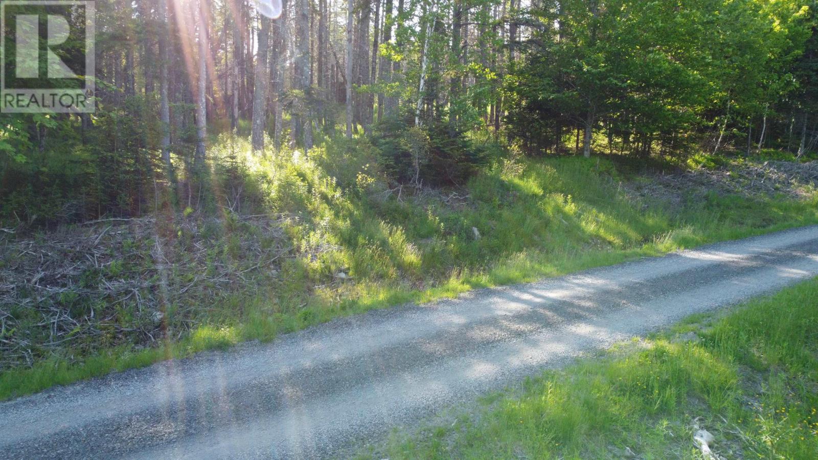 Lot 04-12 Nature Dream P Boulevard, Roberta, Nova Scotia  B0E 3B0 - Photo 3 - 202413904