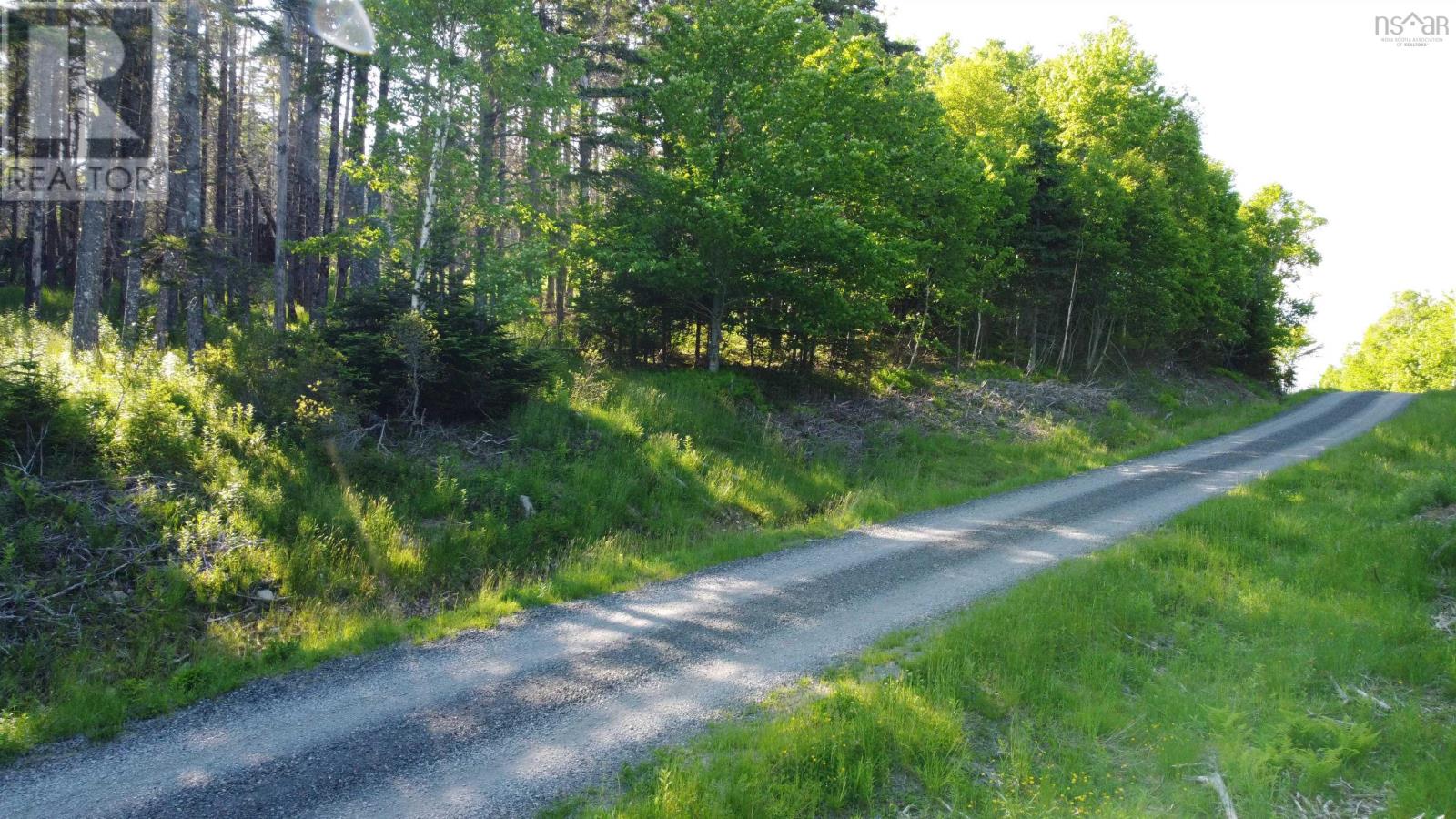 Lot 04-12 Nature Dream P Boulevard, Roberta, Nova Scotia  B0E 3B0 - Photo 4 - 202413904