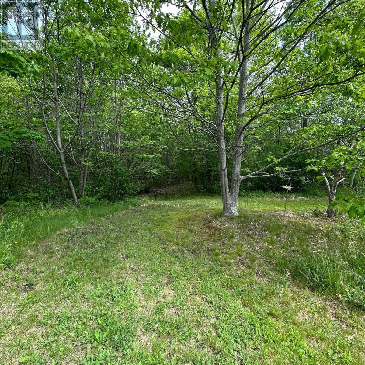 15 Conquerall Road, Hebbs Cross, Nova Scotia  B4V 0Z6 - Photo 26 - 202413933