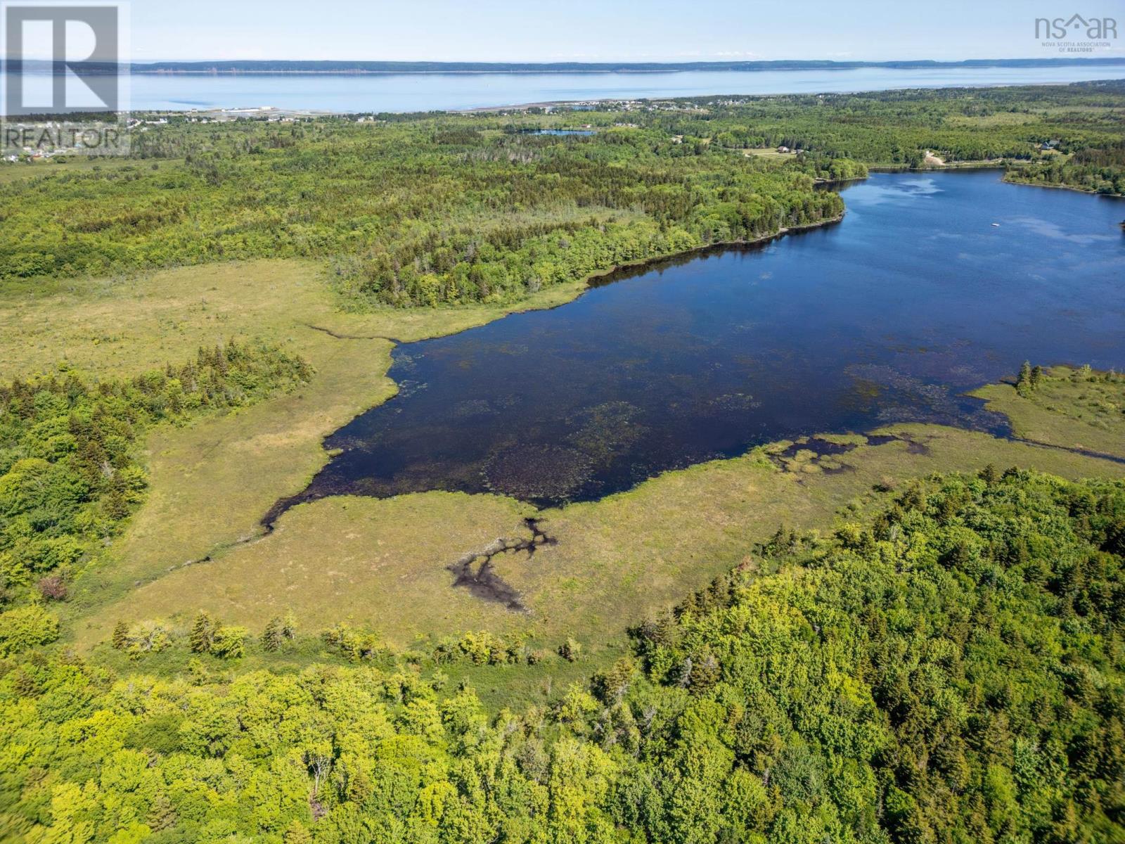 Lot Boudreau Branch Road, Church Point, Nova Scotia  B0W 1M0 - Photo 8 - 202413988