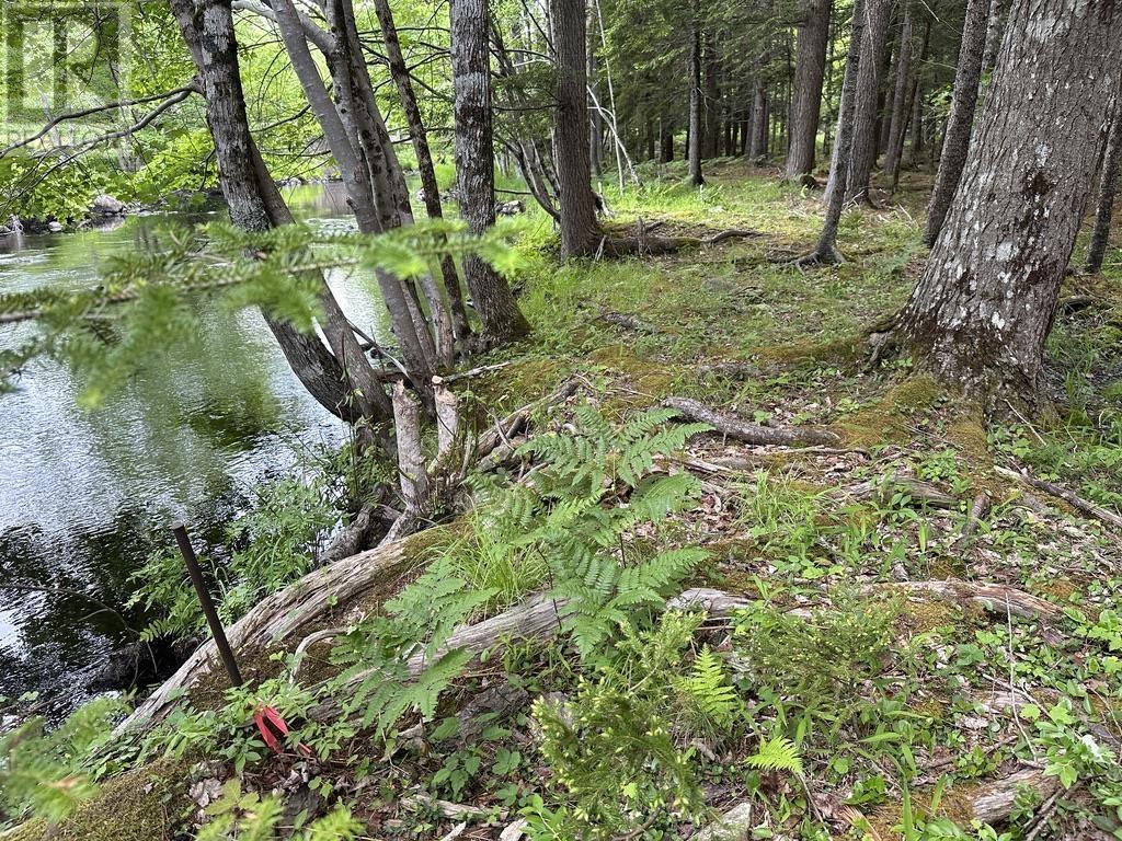 Lot 1 Wentzell Road, baker settlement, Nova Scotia