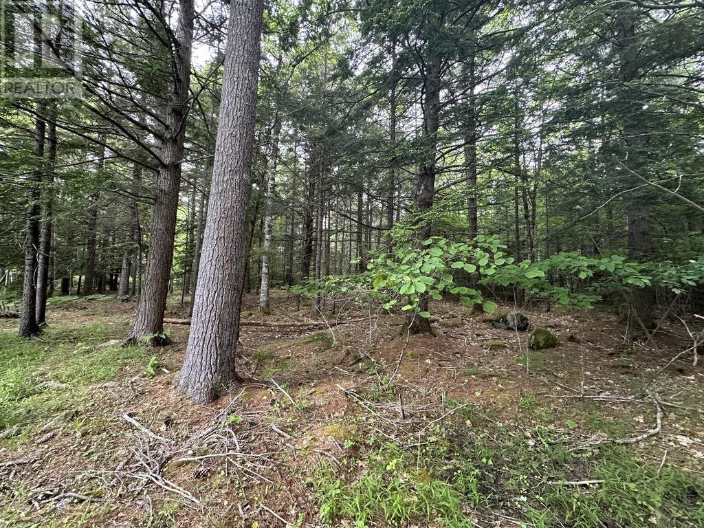 Lot 1 Wentzell Road, Baker Settlement, Nova Scotia  B4V 7J4 - Photo 10 - 202414106