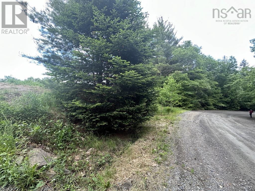 Lot 1 Wentzell Road, Baker Settlement, Nova Scotia  B4V 7J4 - Photo 11 - 202414106