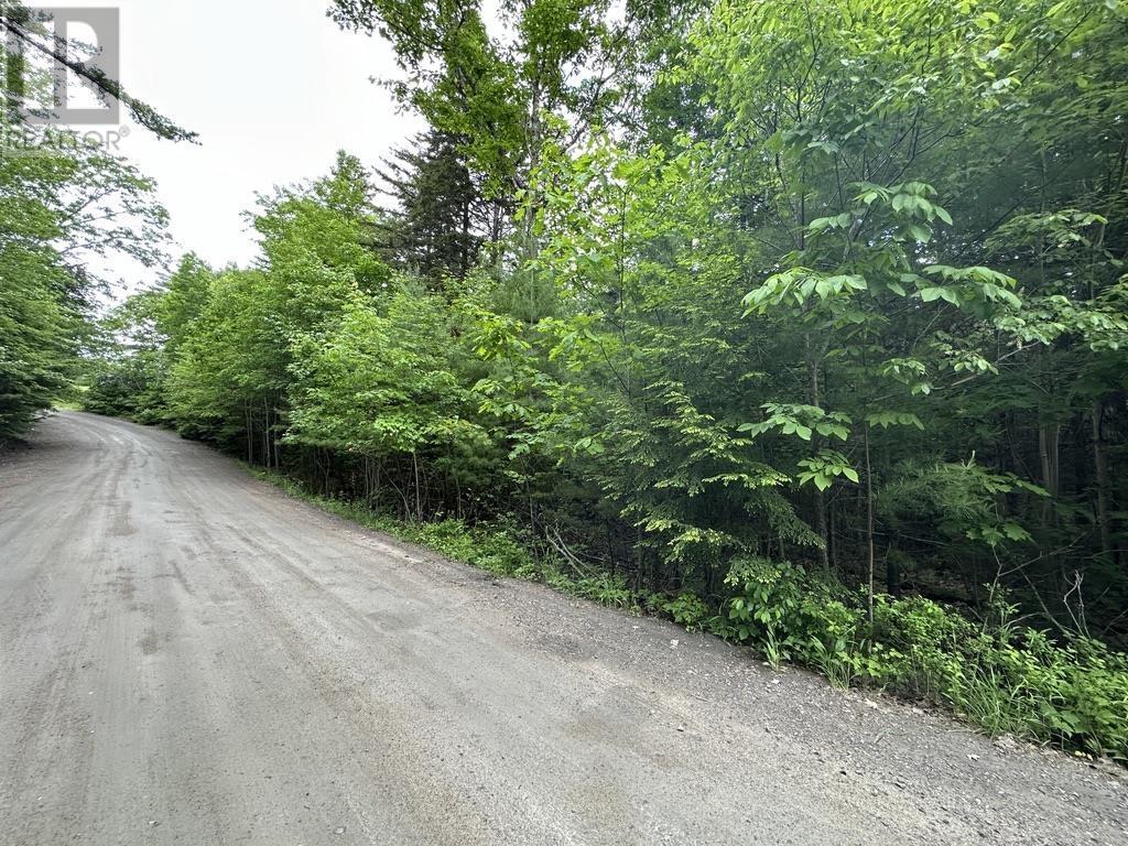 Lot 1 Wentzell Road, Baker Settlement, Nova Scotia  B4V 7J4 - Photo 12 - 202414106