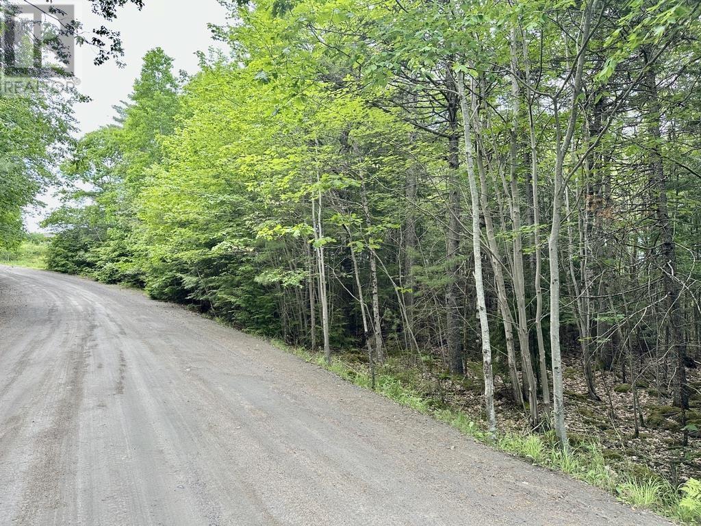 Lot 1 Wentzell Road, Baker Settlement, Nova Scotia  B4V 7J4 - Photo 13 - 202414106