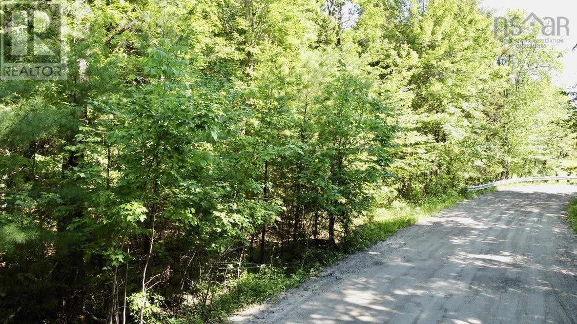 Lot 1 Wentzell Road, Baker Settlement, Nova Scotia  B4V 7J4 - Photo 14 - 202414106