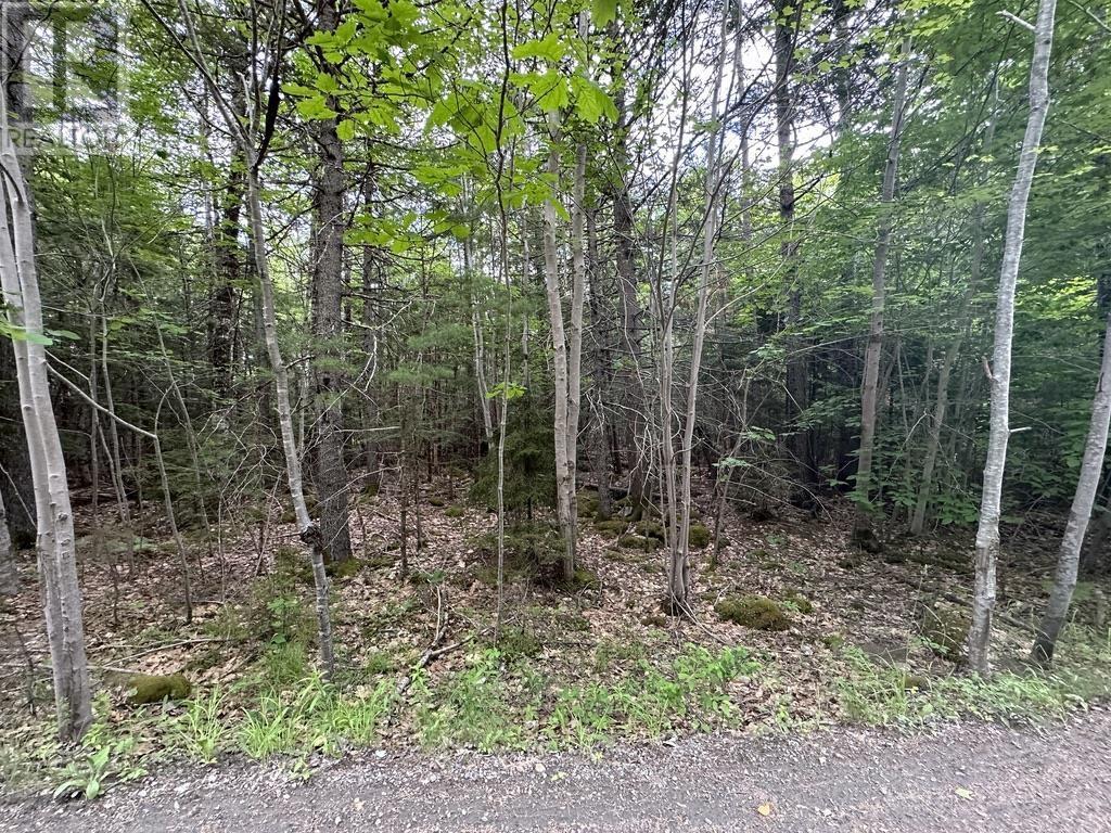 Lot 1 Wentzell Road, Baker Settlement, Nova Scotia  B4V 7J4 - Photo 16 - 202414106