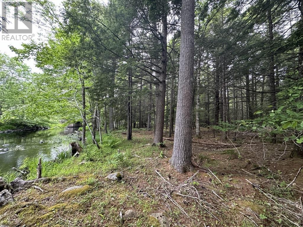 Lot 1 Wentzell Road, Baker Settlement, Nova Scotia  B4V 7J4 - Photo 3 - 202414106