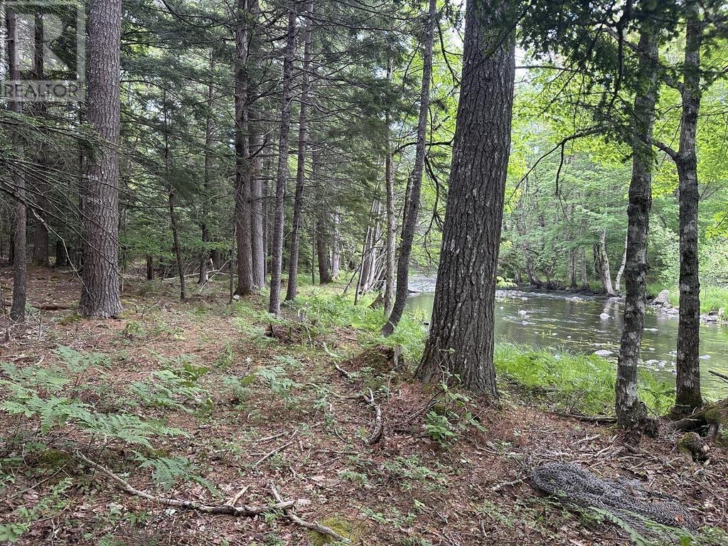 Lot 1 Wentzell Road, Baker Settlement, Nova Scotia  B4V 7J4 - Photo 5 - 202414106