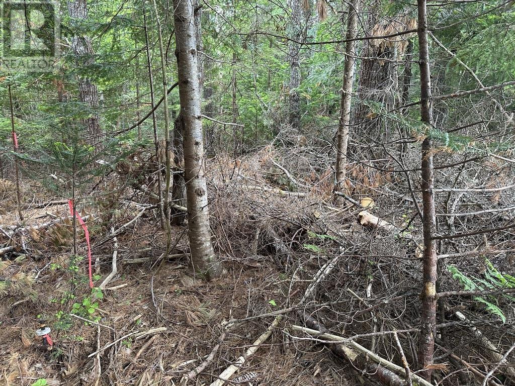 Lot 1 Wentzell Road, Baker Settlement, Nova Scotia  B4V 7J4 - Photo 6 - 202414106