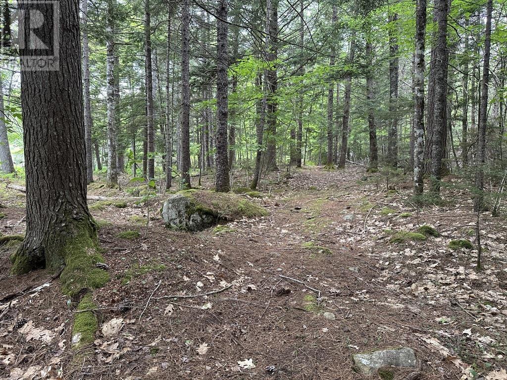 Lot 1 Wentzell Road, Baker Settlement, Nova Scotia  B4V 7J4 - Photo 8 - 202414106