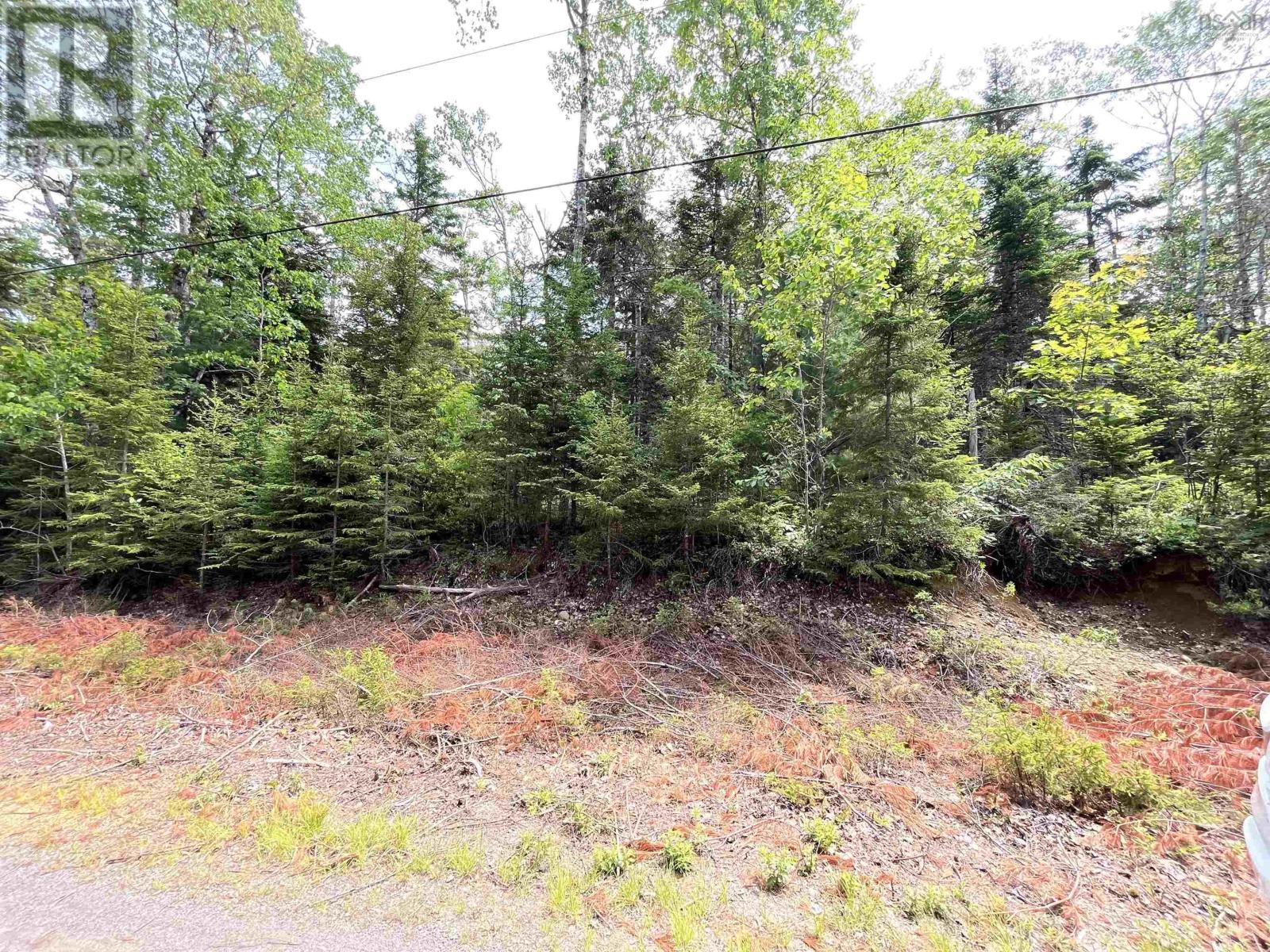 Lot 9 Cutthroat Drive, Newcombville, Nova Scotia  B4V 7G8 - Photo 2 - 202414226