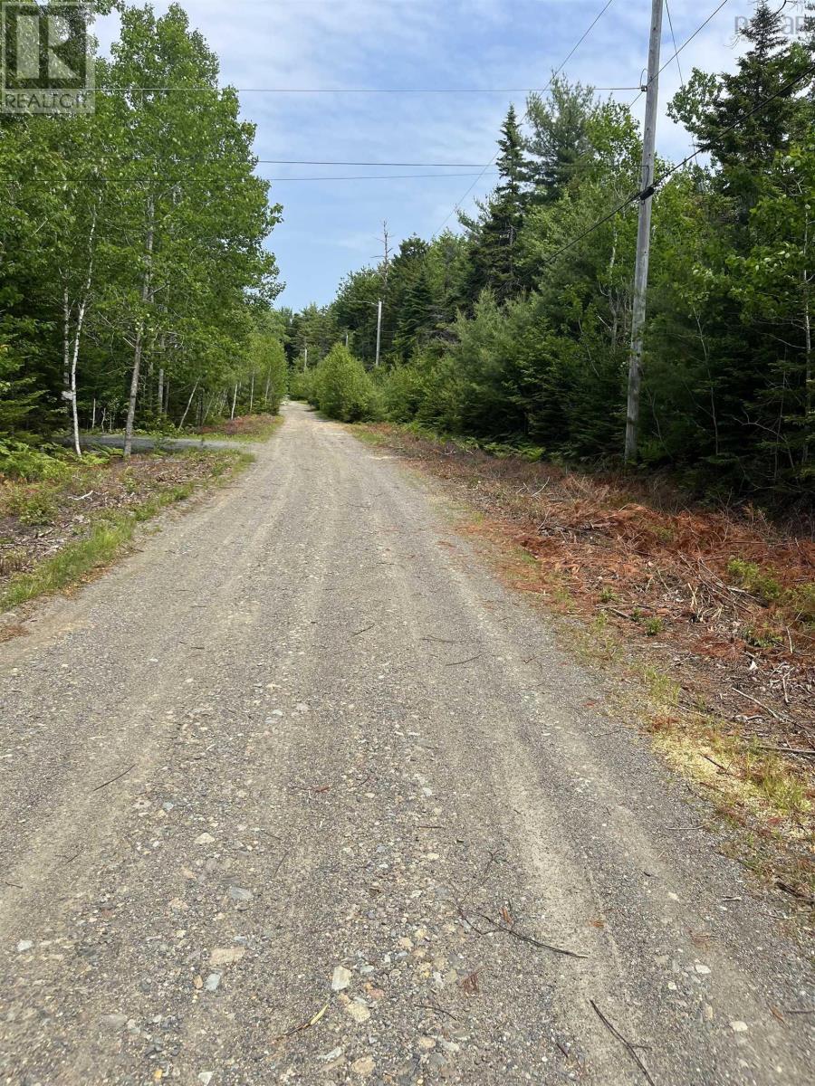 Lot 9 Cutthroat Drive, Newcombville, Nova Scotia  B4V 7G8 - Photo 4 - 202414226