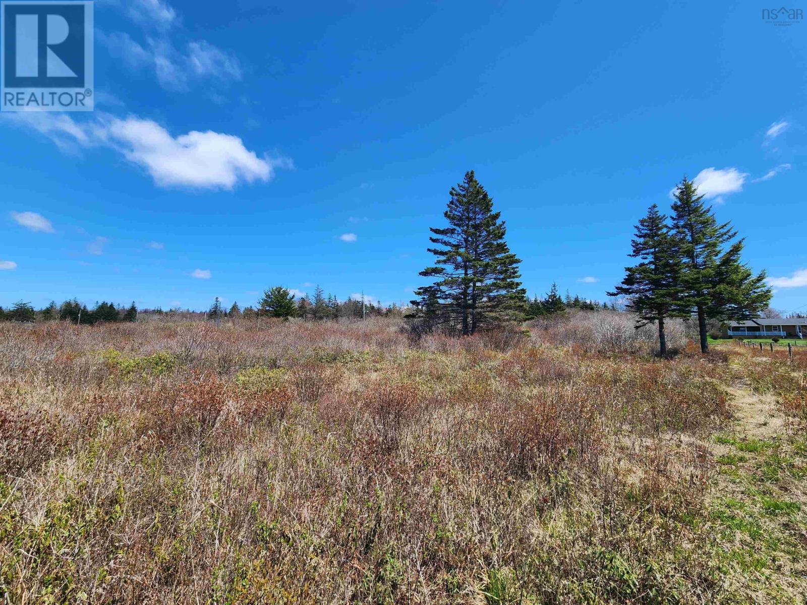 Lot Small Gains Road, Brooklyn, Nova Scotia  B5A 0G3 - Photo 14 - 202414235