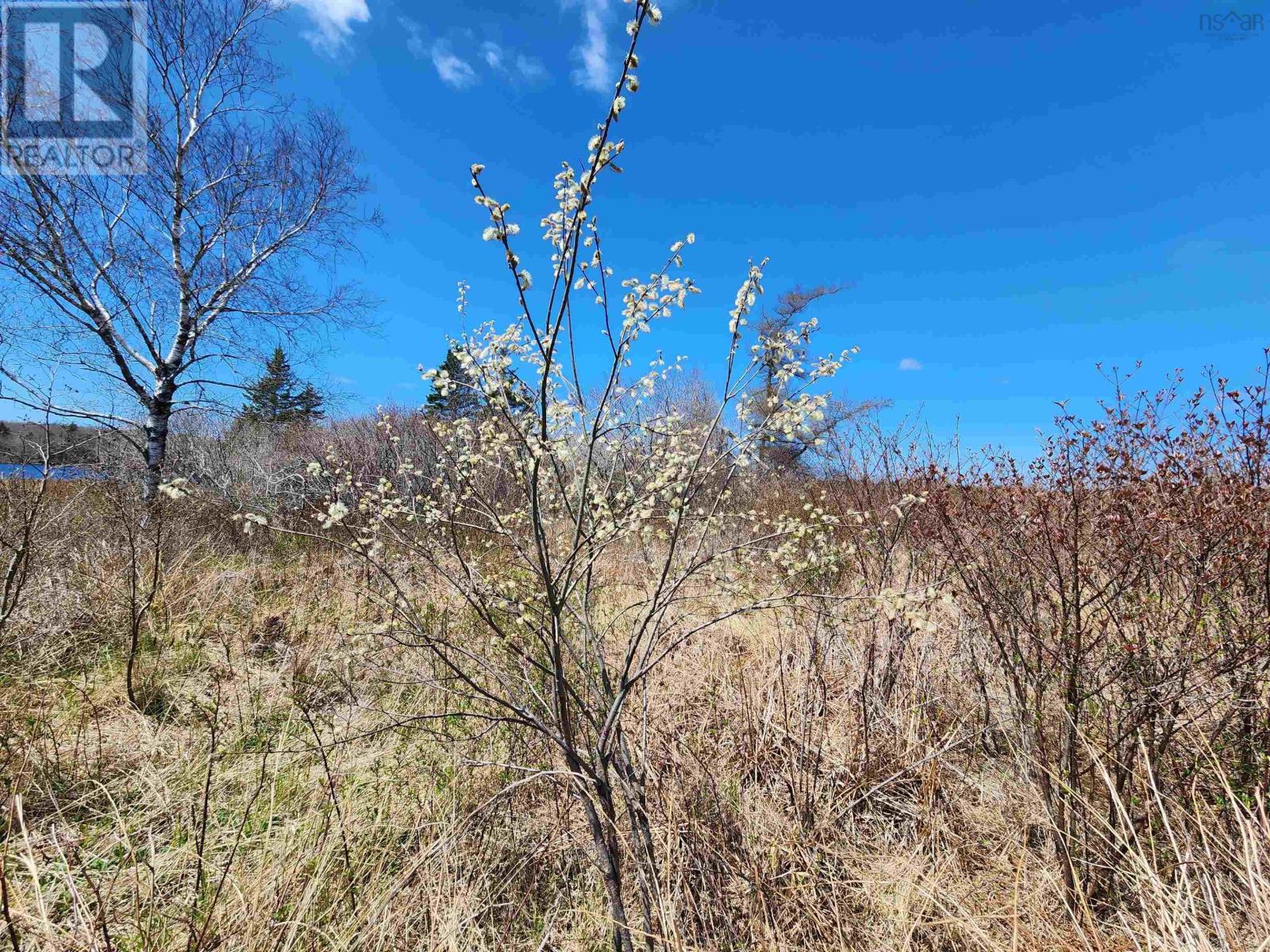 Lot Small Gains Road, Brooklyn, Nova Scotia  B5A 0G3 - Photo 15 - 202414235