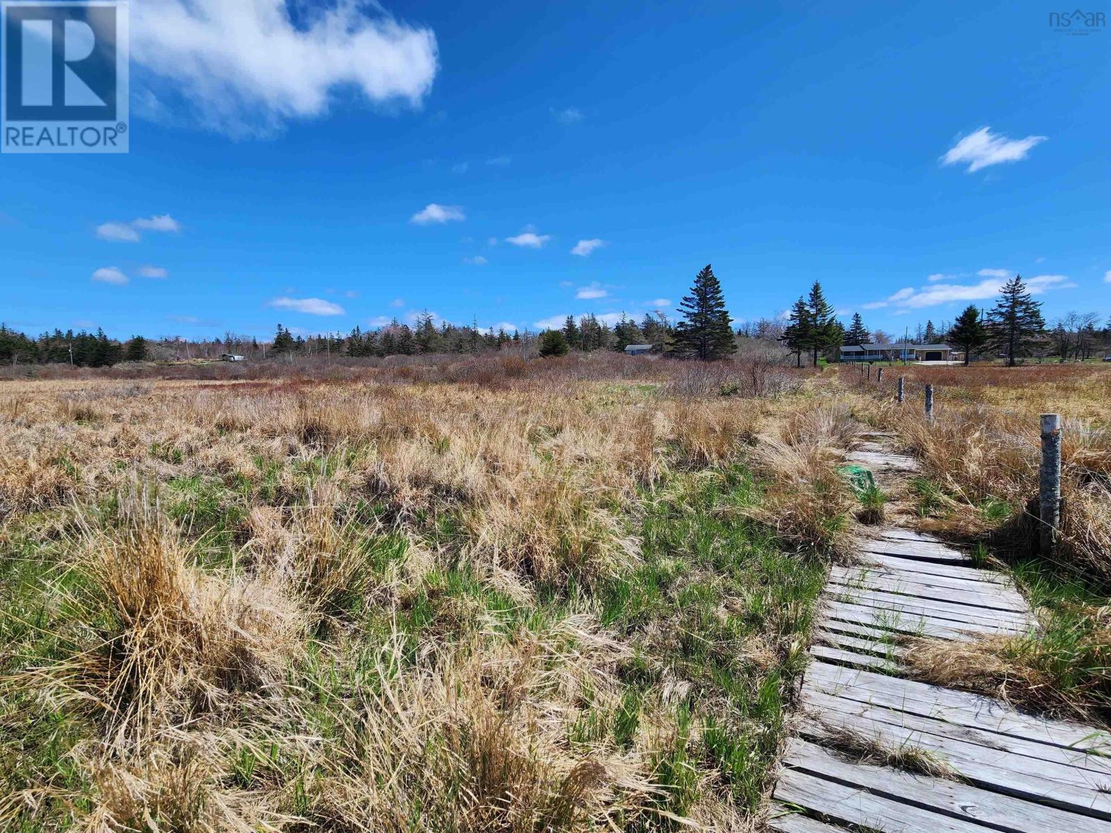 Lot Small Gains Road, Brooklyn, Nova Scotia  B5A 0G3 - Photo 9 - 202414235