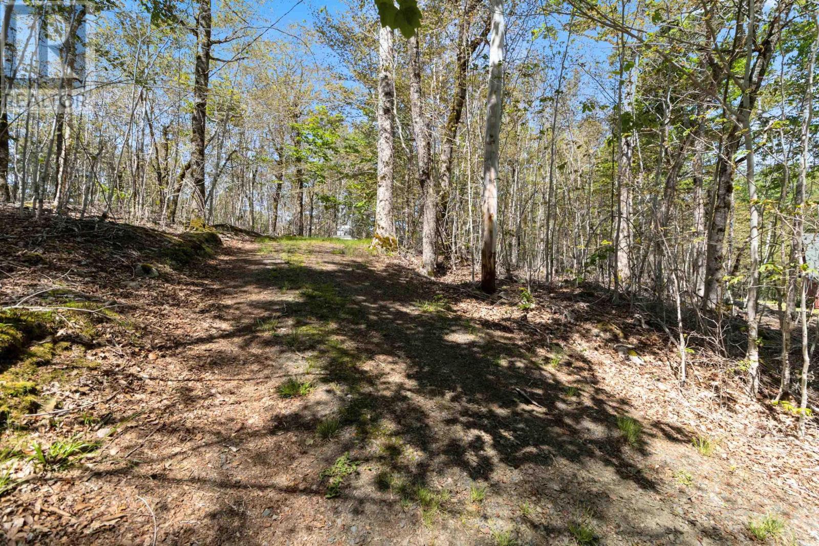 492 Turner Point Drive, Walden, Nova Scotia  B0J 2E0 - Photo 35 - 202414258