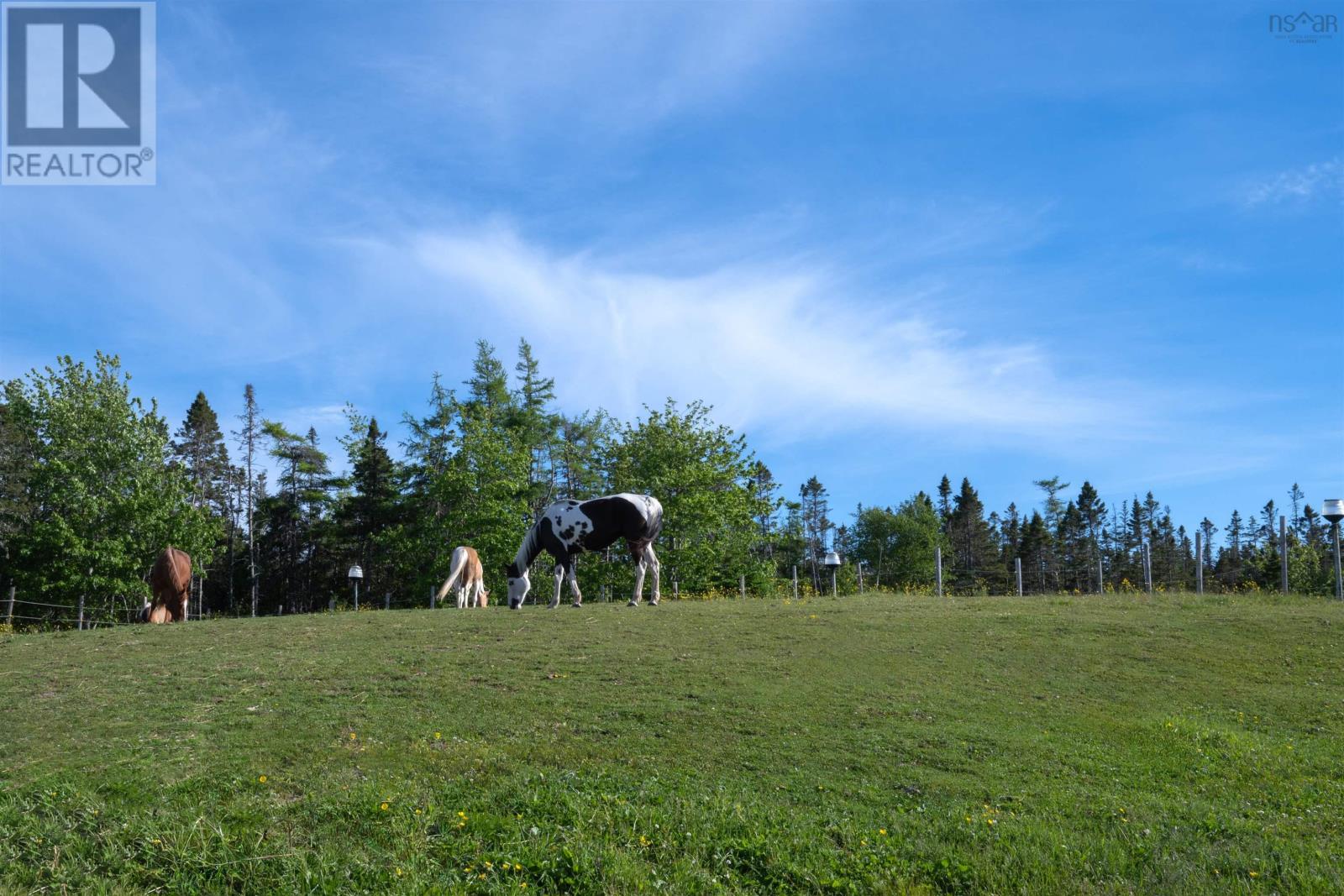 246 Coopers Road, Tangier, Nova Scotia  B0J 3H0 - Photo 42 - 202414495